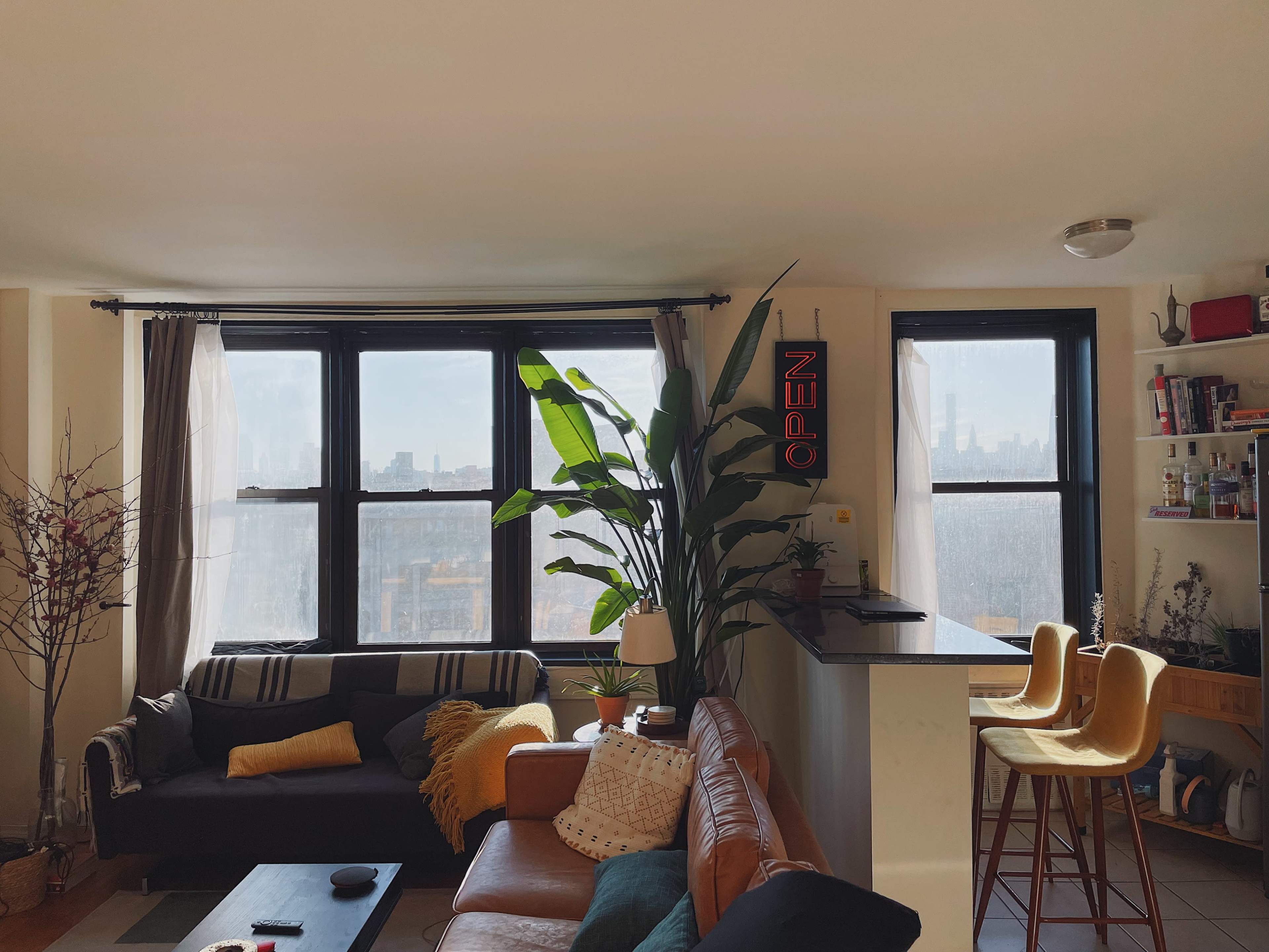 A bright, airy living room with a large window, plants, and a mix of furniture including a dark couch and a light-colored chair.
