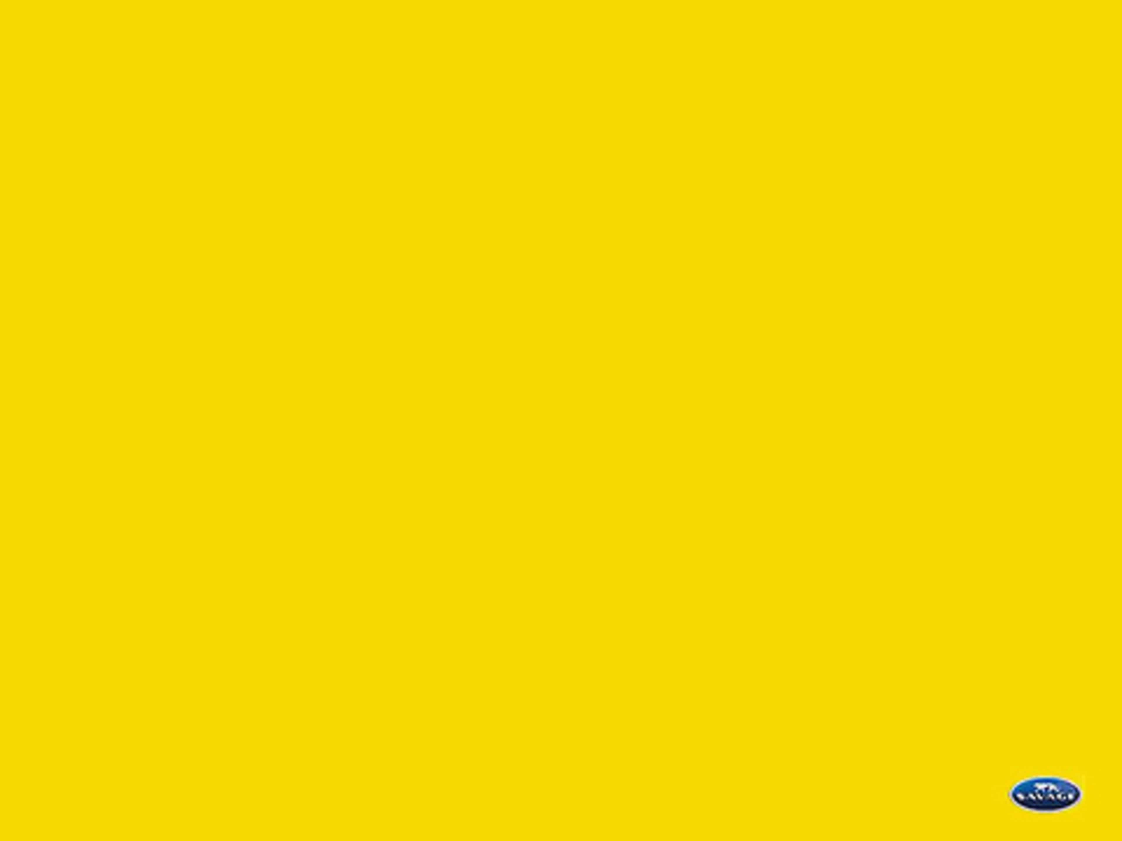 #71 Deep Yellow Backdrop Paper