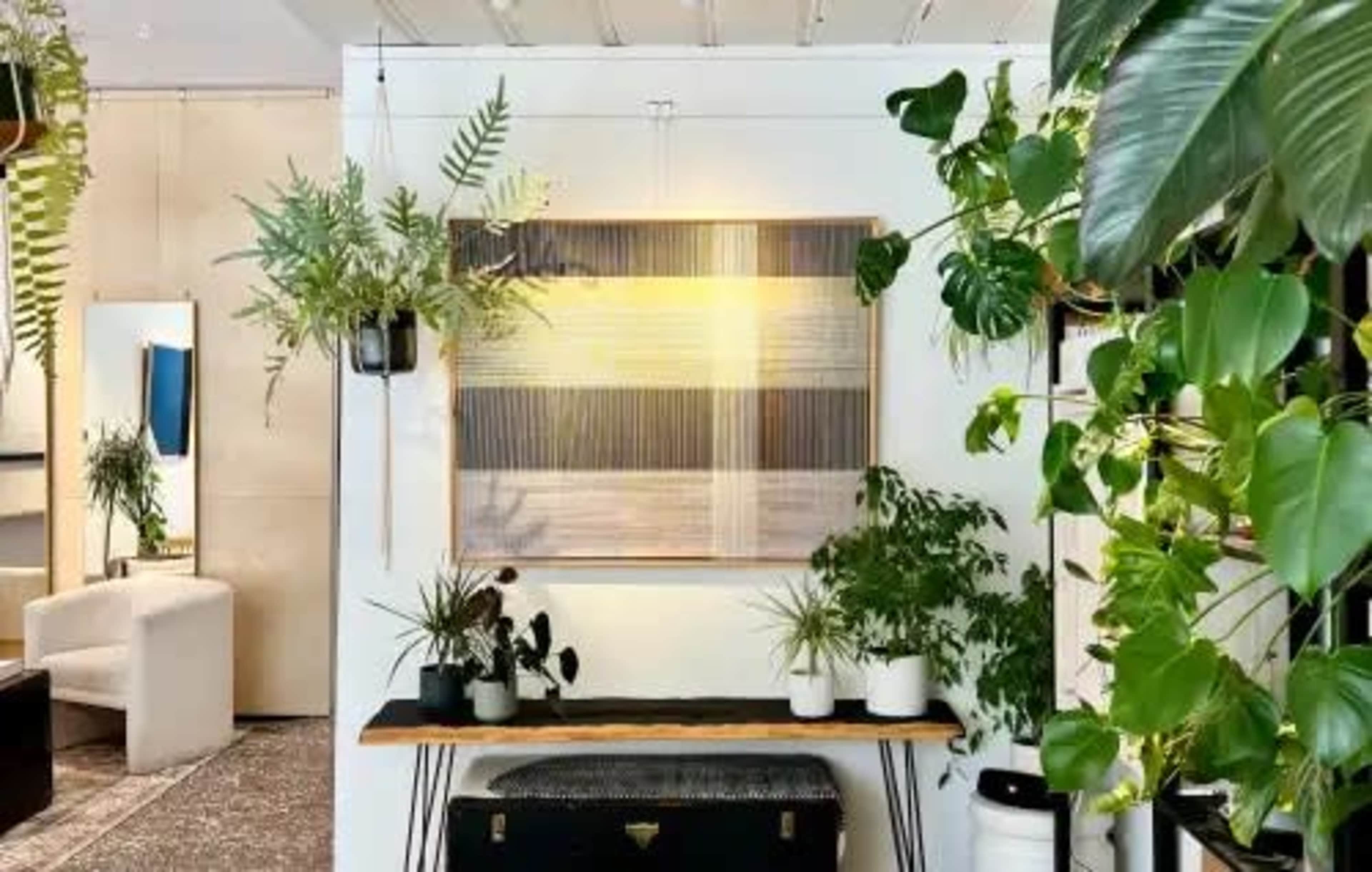 A well-decorated indoor space features a wooden table with various potted plants and a wall-mounted artwork, surrounded by greenery.