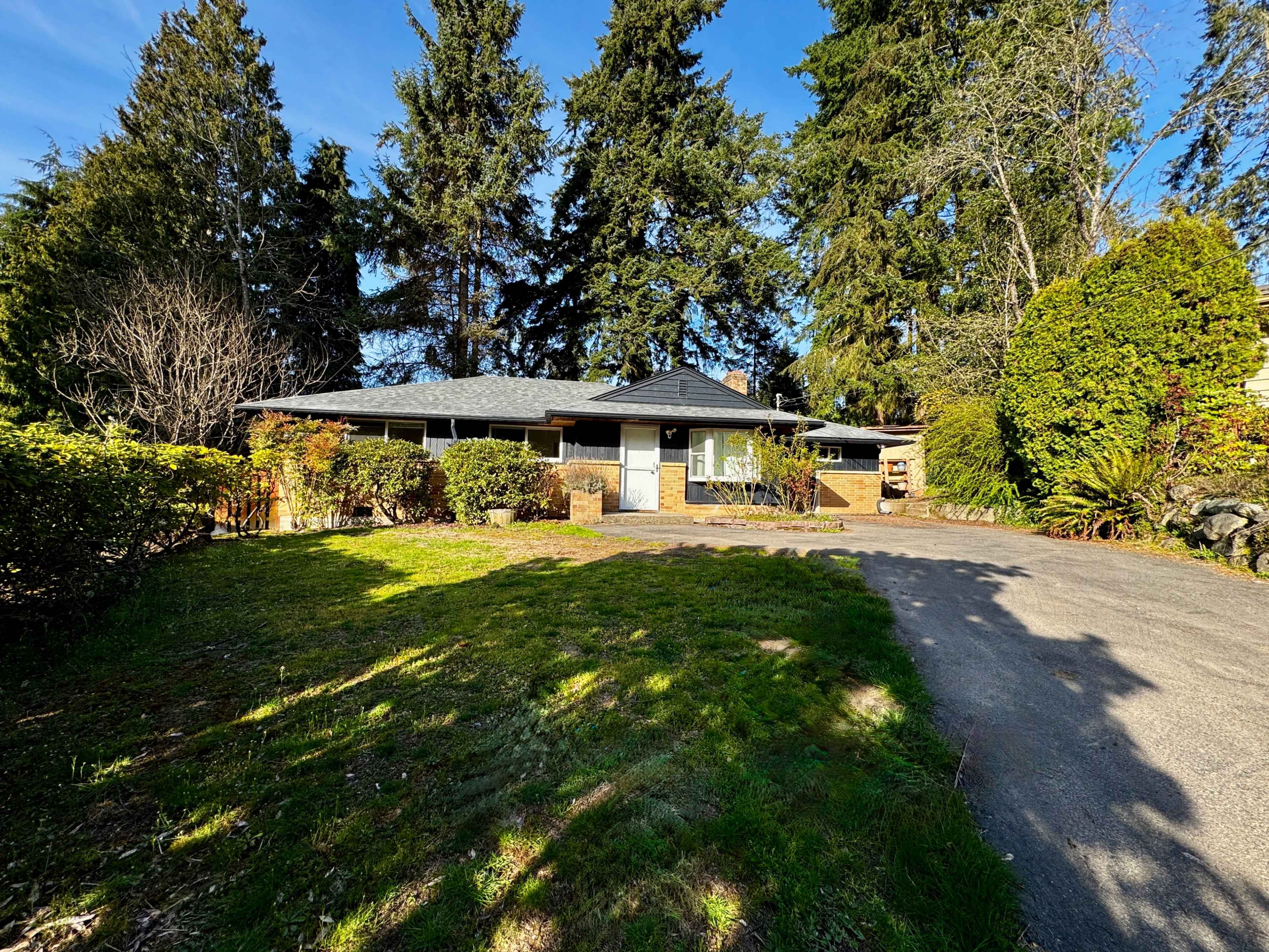 A single-story house with a dark roof is surrounded by tall trees and shrubs, with a gravel driveway leading up to the entrance.