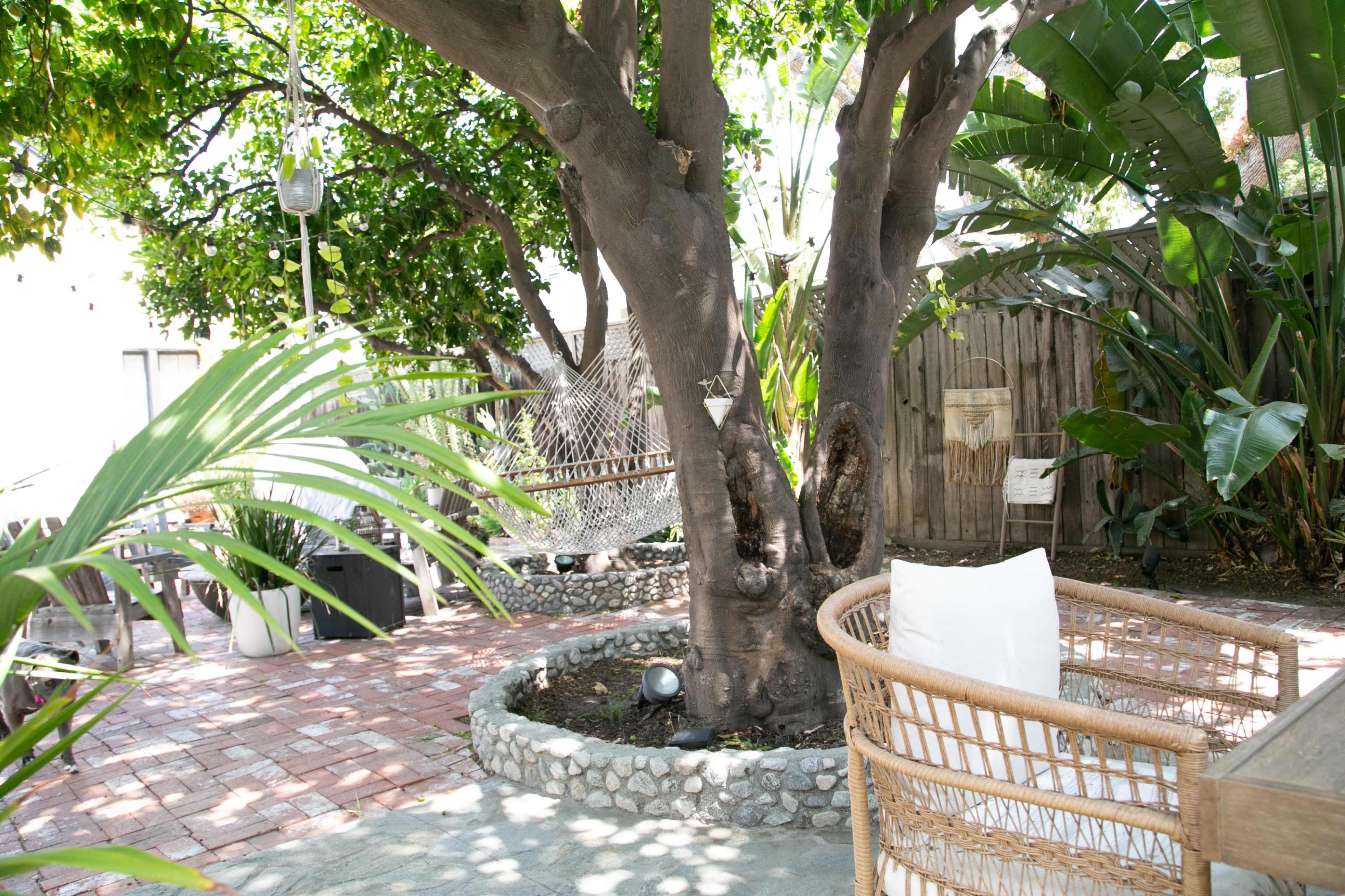 A spacious outdoor area features a large tree surrounded by a stone-lined circle, with a hammock and comfortable seating in the background.