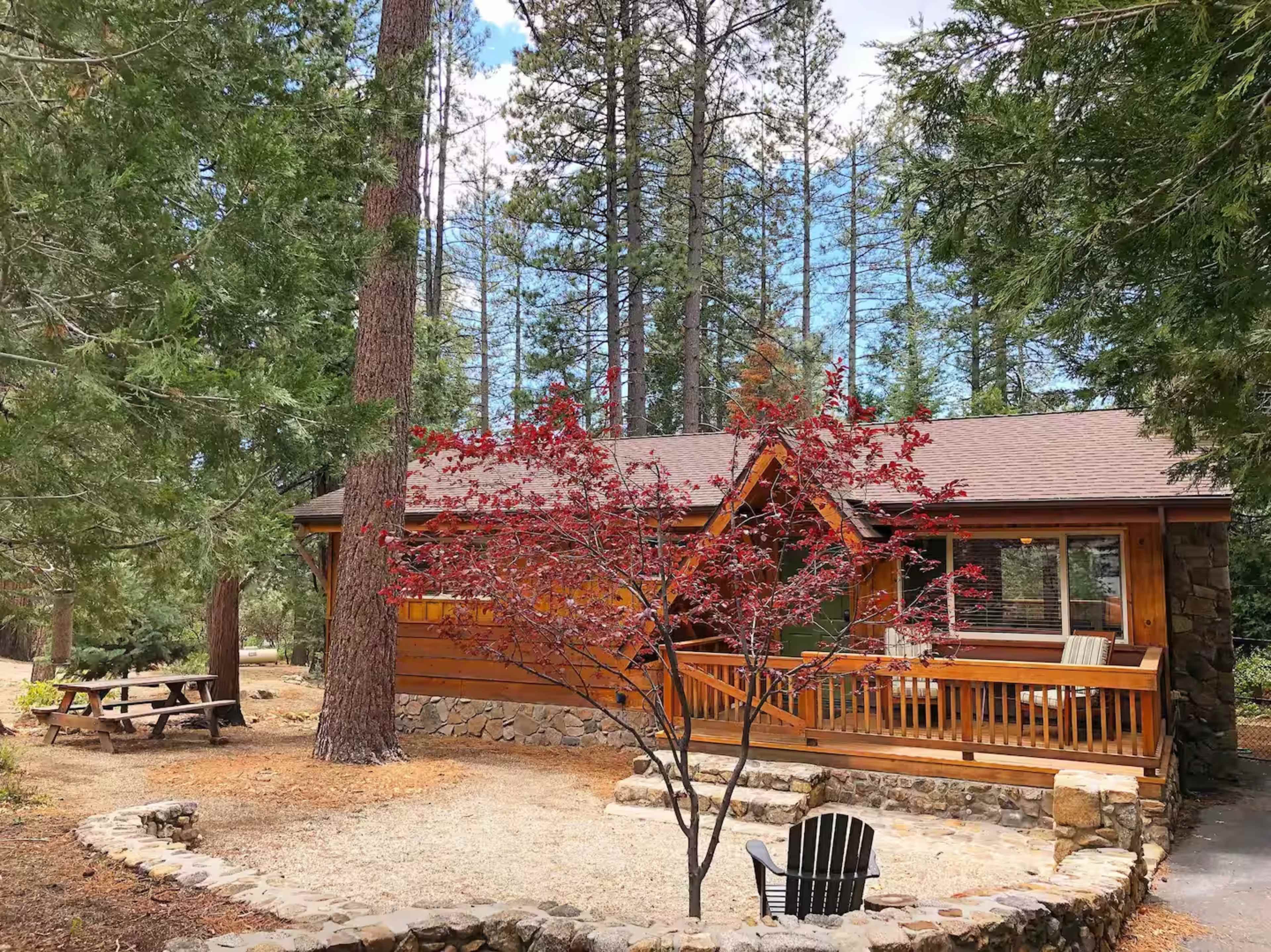 A wooden cabin with a stone foundation is surrounded by tall pine trees and features a small red tree in the foreground.