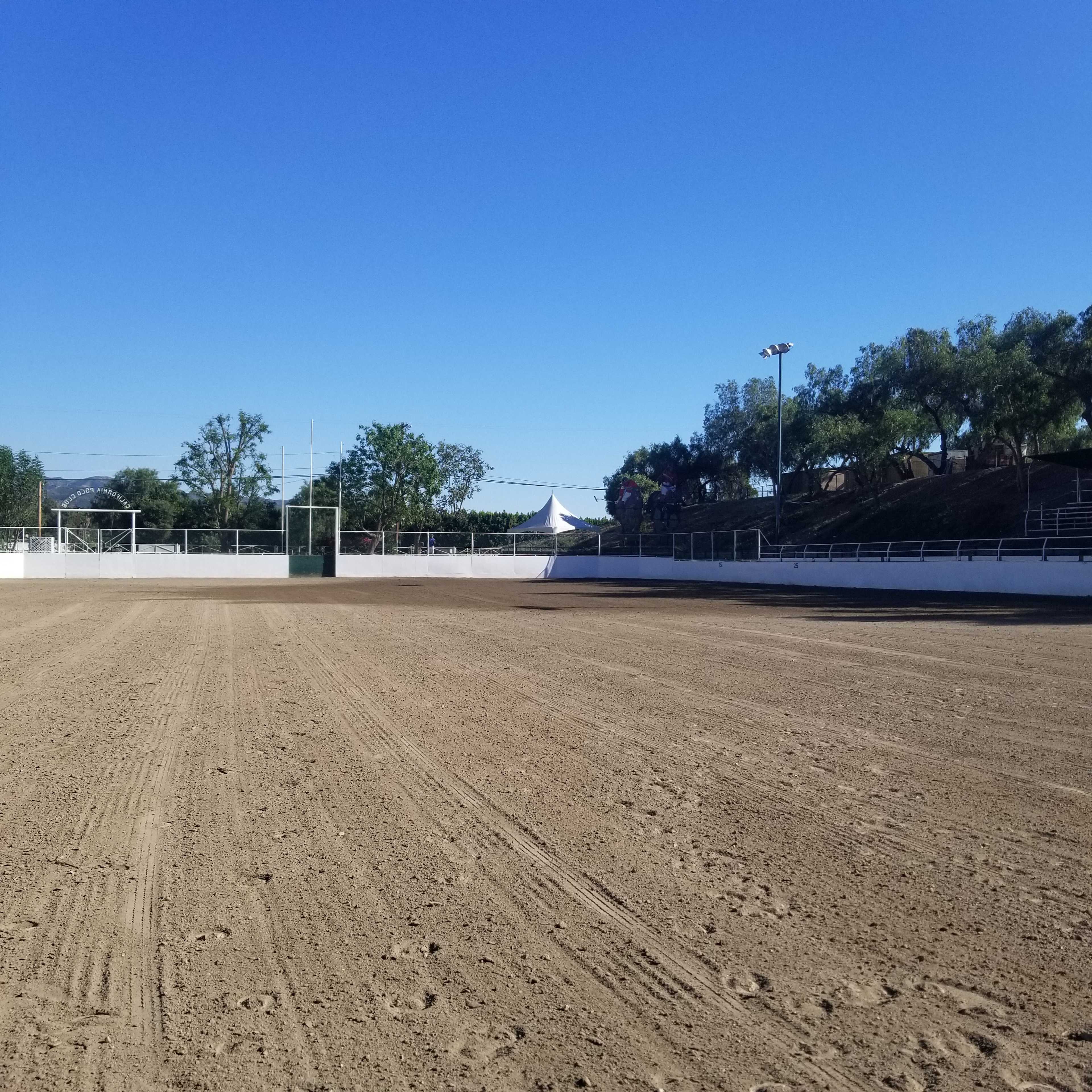 A large, empty rodeo arena with a dirt surface and surrounded by green trees under a clear blue sky.