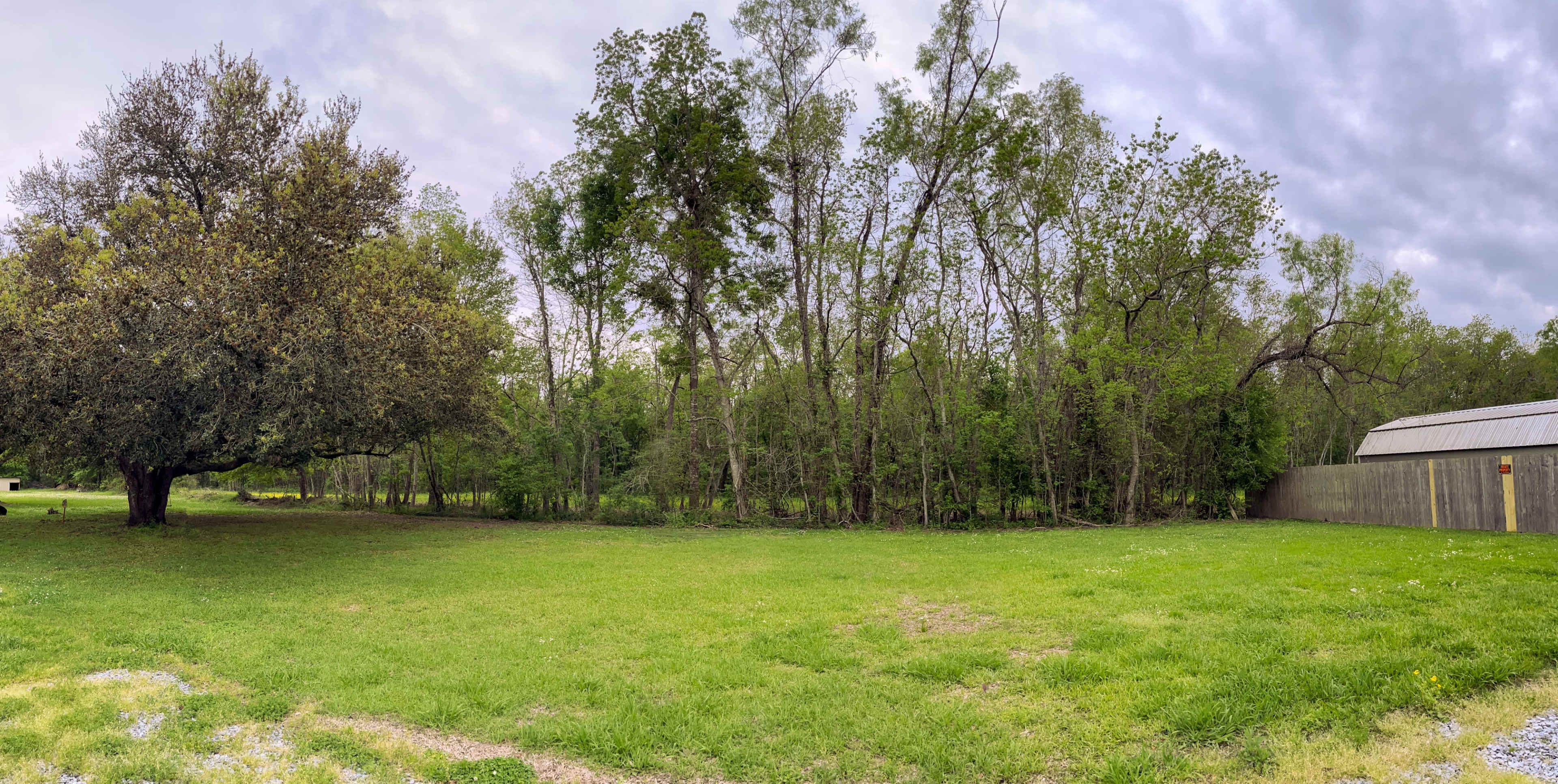 A grassy area with a large tree on the left and a wooded section in the background, accompanied by a wooden fence and a building on the right.