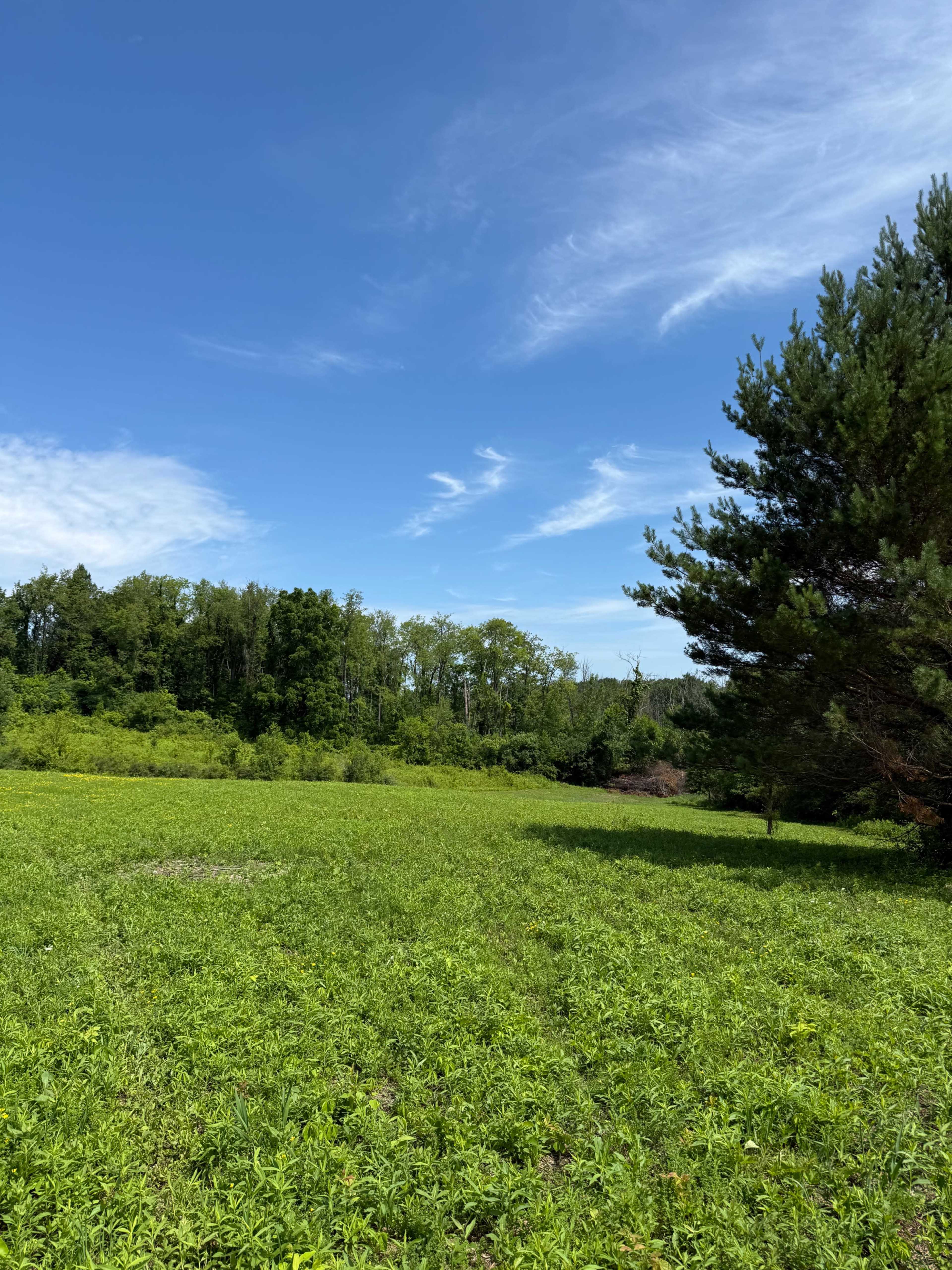 Voorheesville rustic country outdoor venue Image in New Scotland, Voorheesville, NY