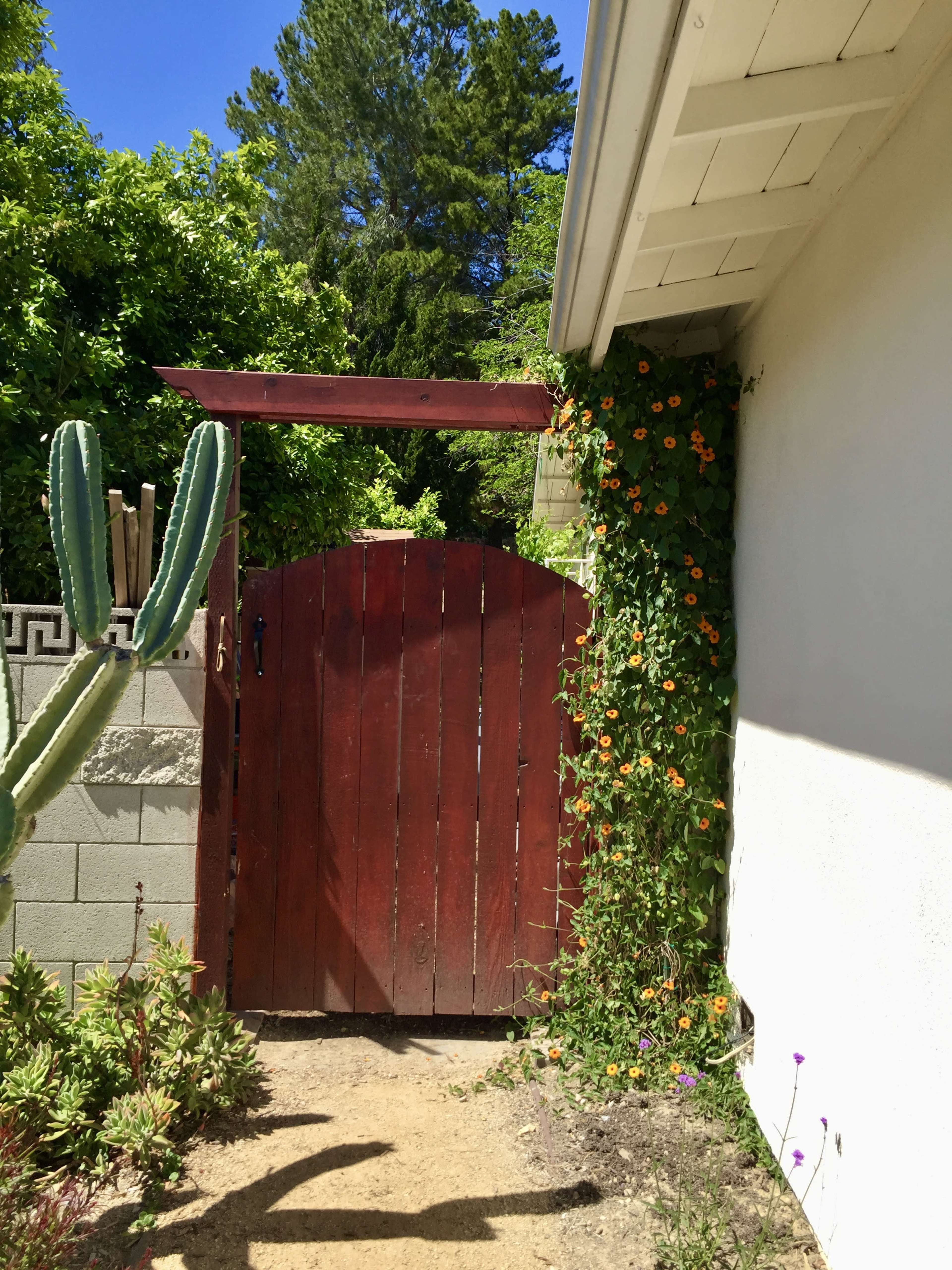 A wooden gate framed by flowering vines leads into a garden area, with a cactus on the left side and greenery in the background.