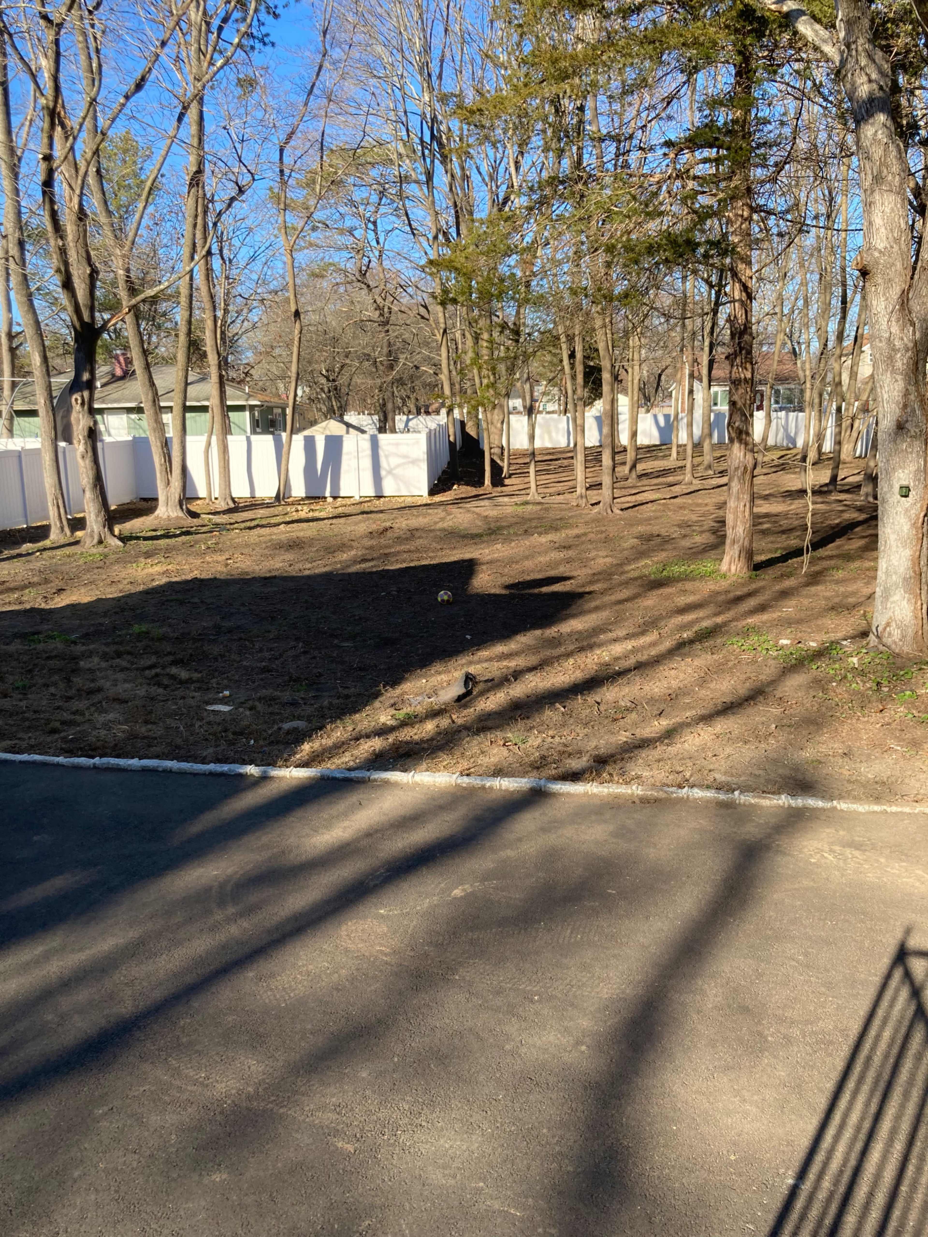 A clear area with bare ground and sparse trees alongside a paved road and a white fence.