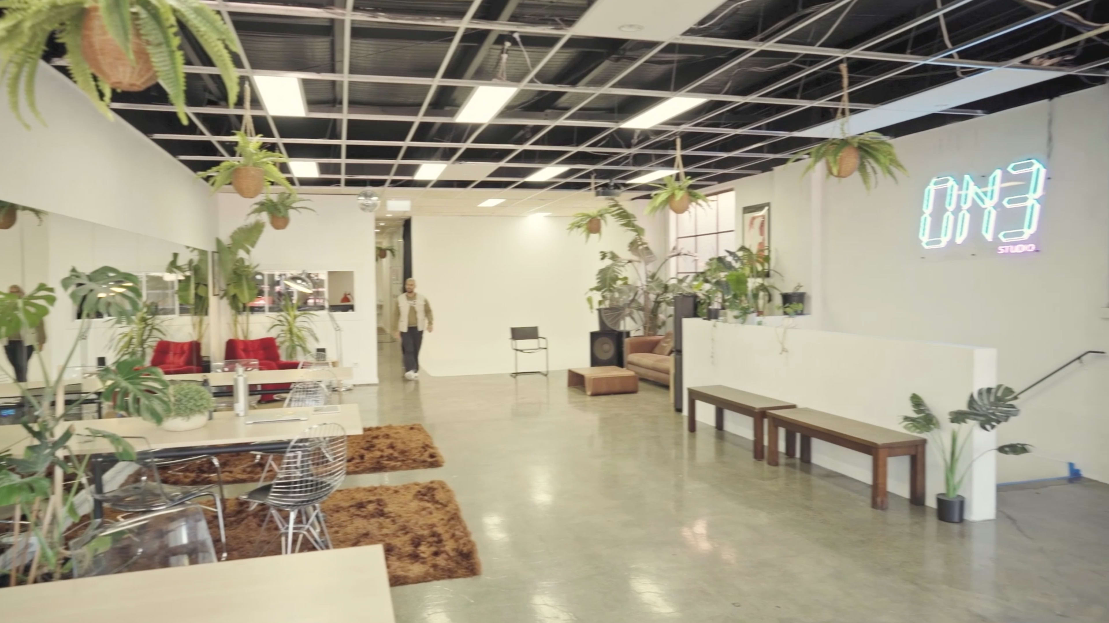 A spacious studio with a polished concrete floor, various plants hanging from the ceiling, and a mix of seating areas including a long table and a sofa.