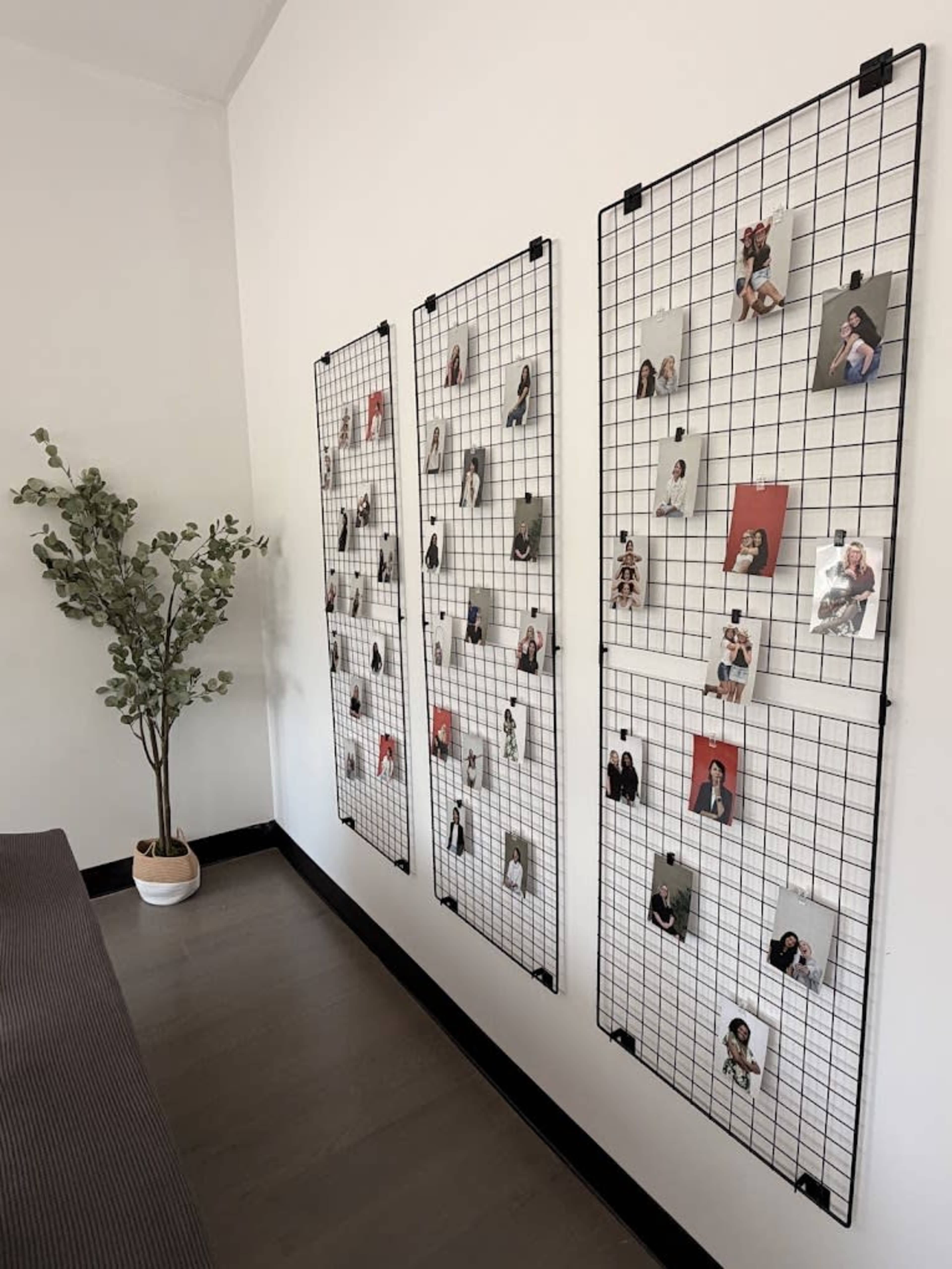 Three wire grid panels on a wall display various photographs, while a potted plant stands in a corner nearby.