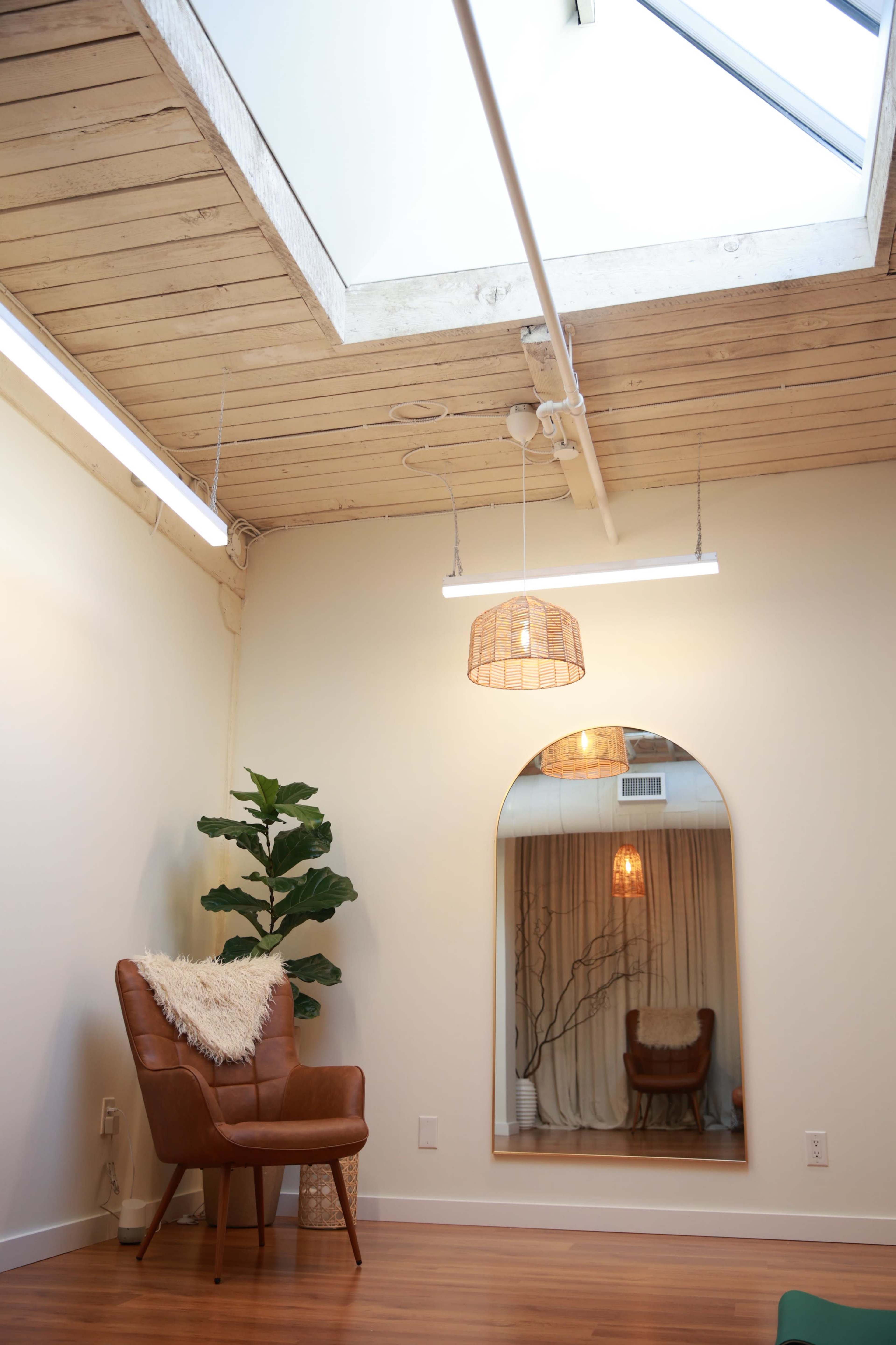 The image shows a well-lit room with a skylight, featuring a brown leather chair, a decorative mirror, and indoor plants against a light-colored wall.