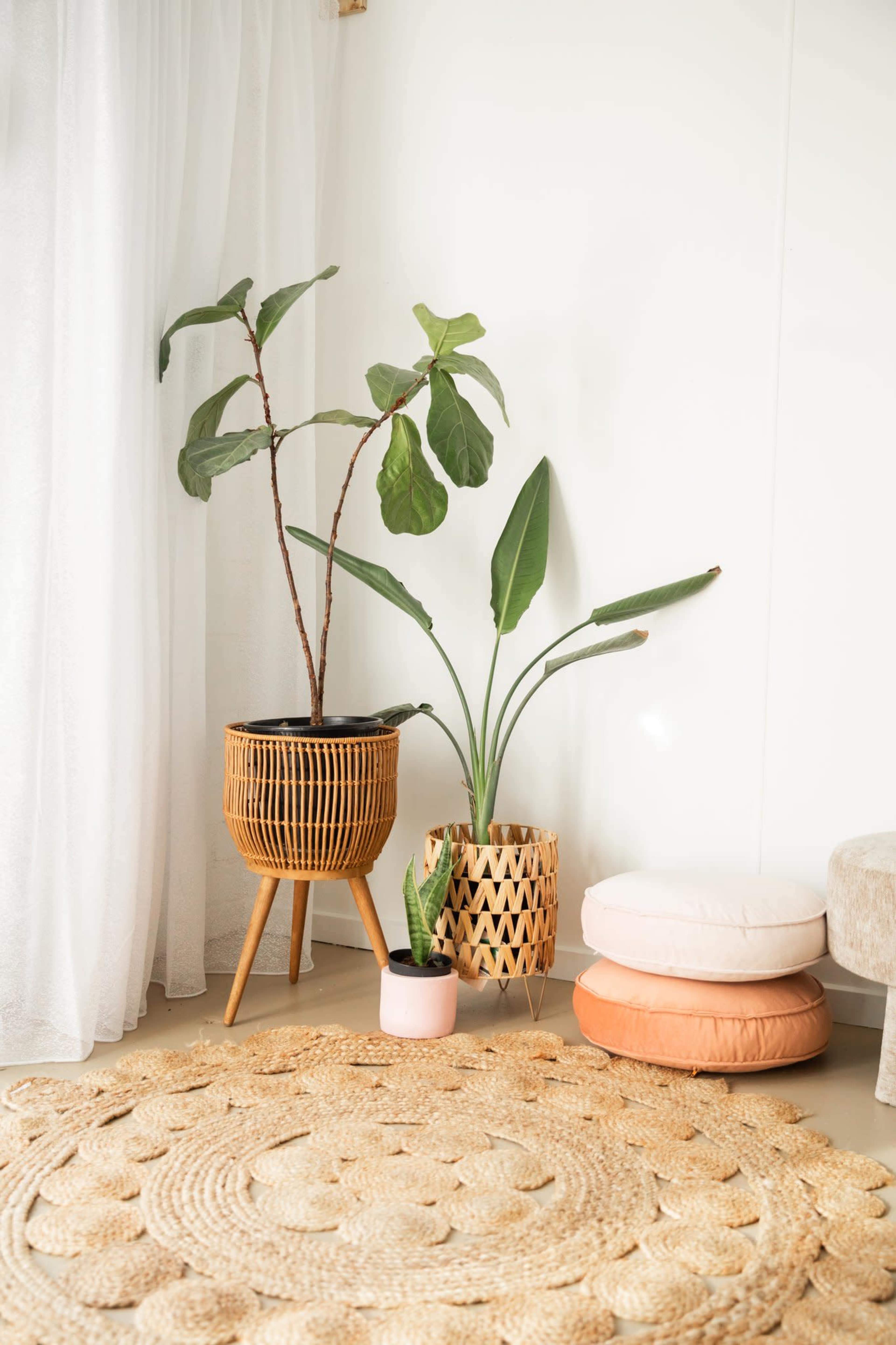 Light-filled studio in the heart of the Yarra Valley Image in Healesville, Healesville, VIC
