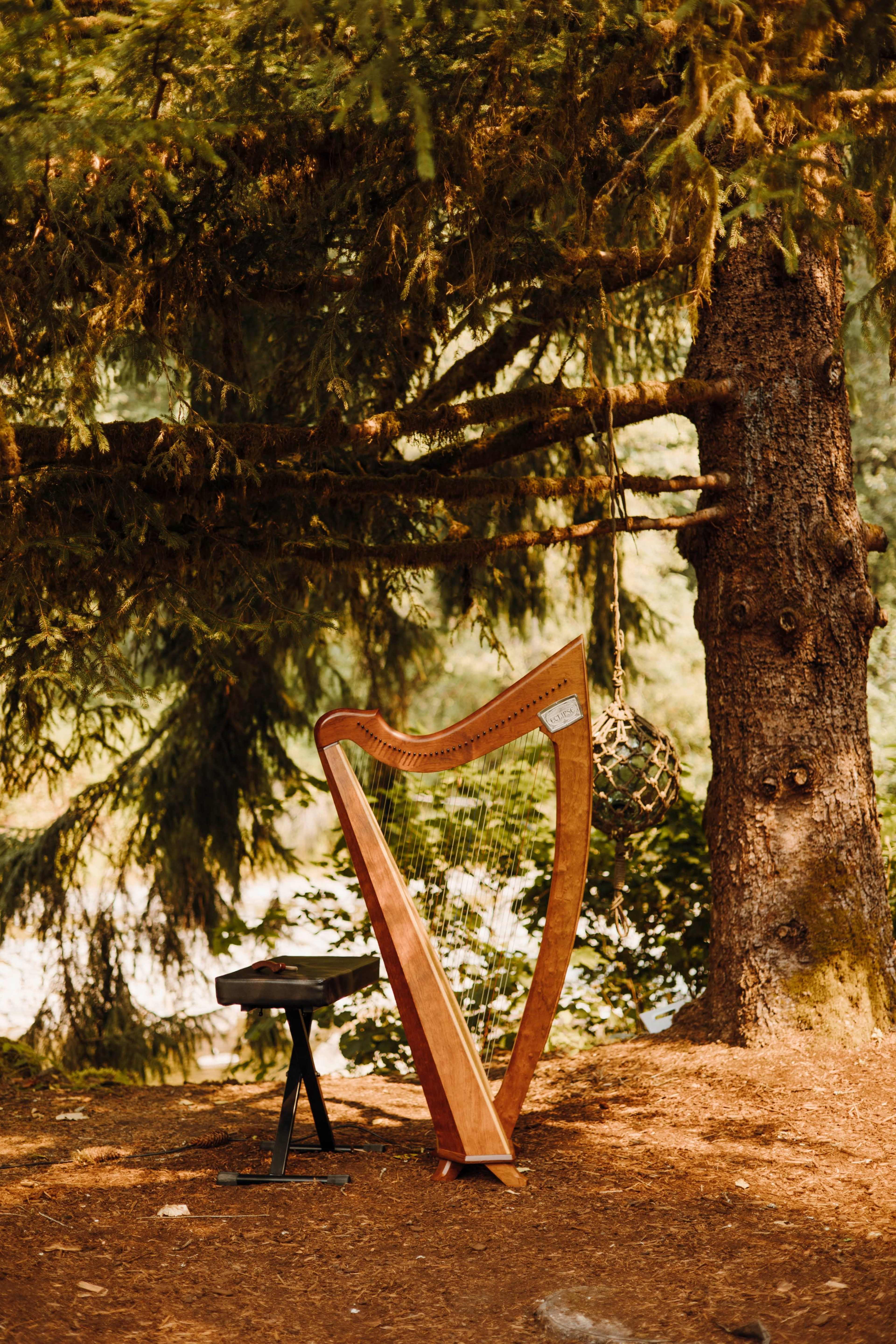 Beautiful forest oasis at the base of Mt. Pilchuck with river views and access Image in , Granite Falls, WA