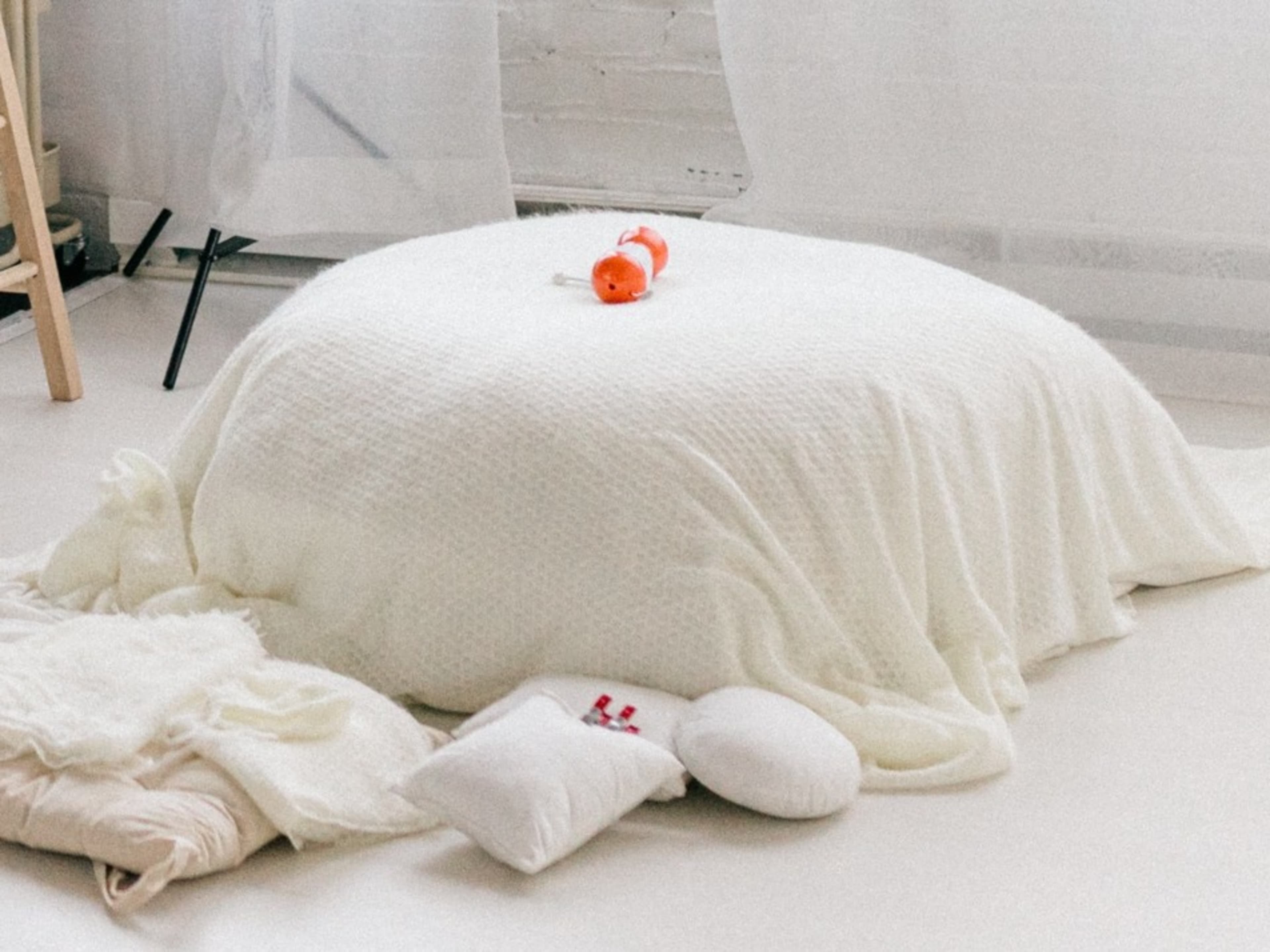 Newborn Bean Bag Set Up