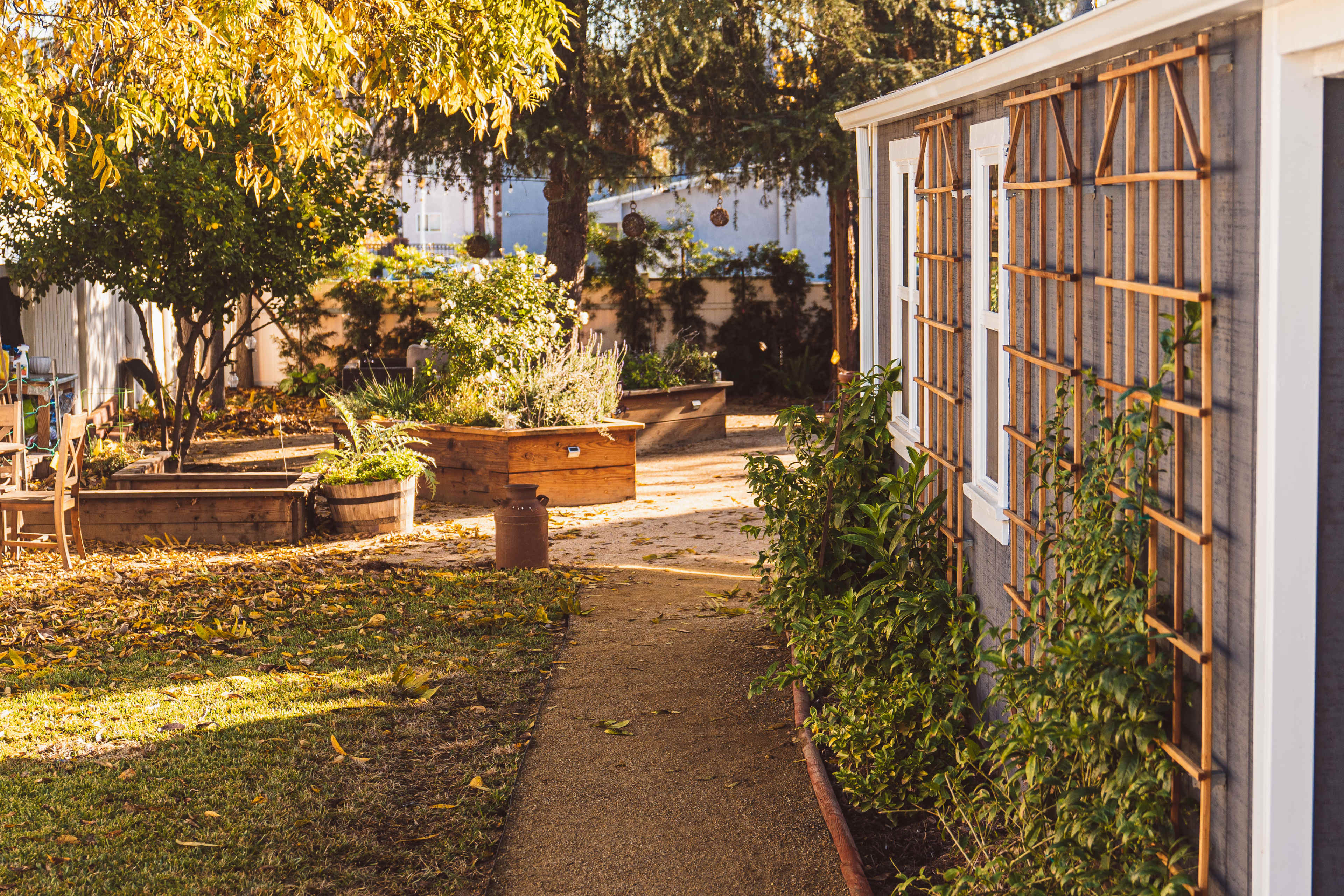A narrow gravel path leads toward a shed, lined with greenery and surrounded by raised garden beds in a sunlit backyard.