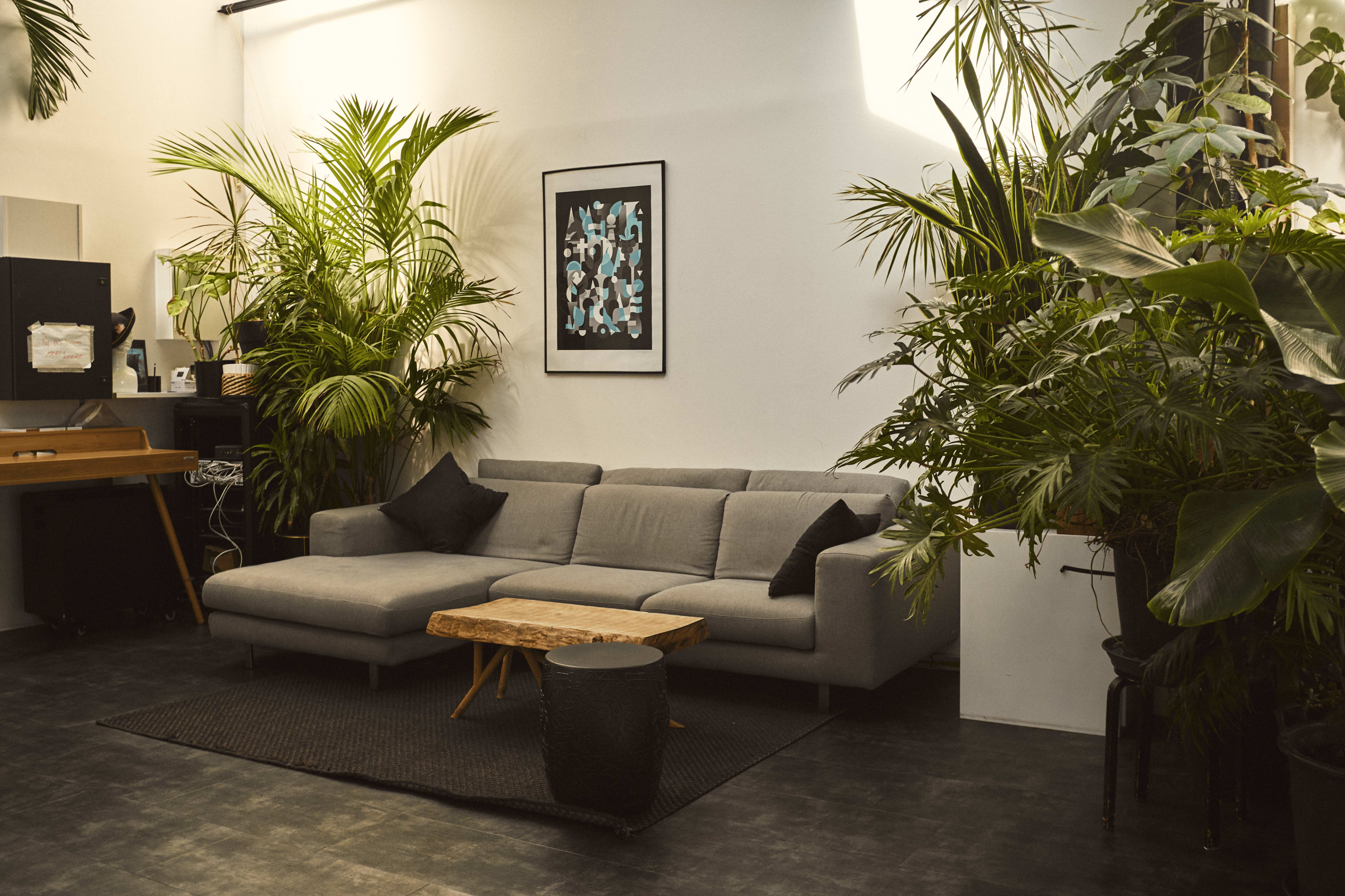 Studio Photo Showroom Image dans , saint ouen sur seine, 