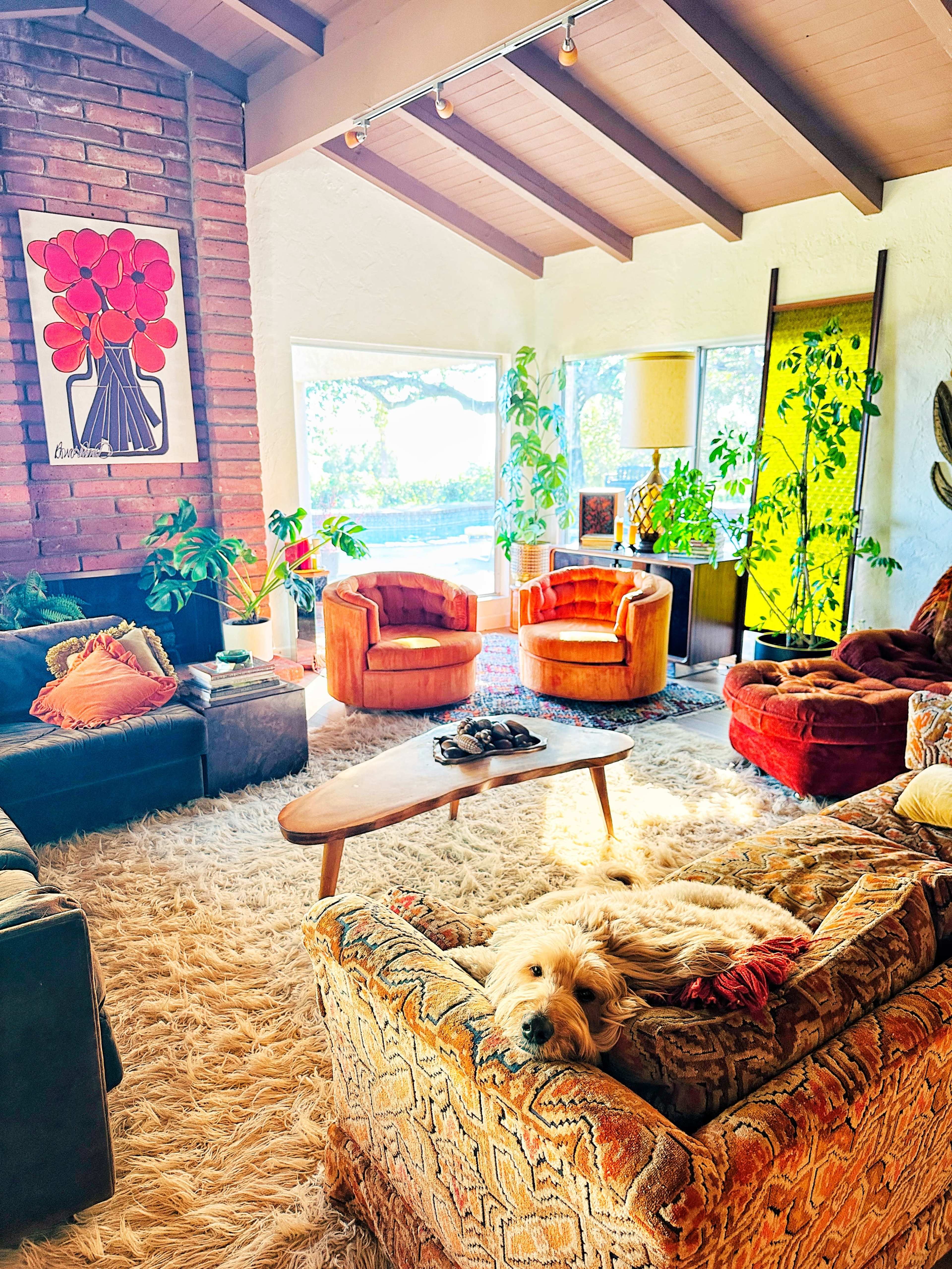 The image shows a cozy living room featuring a patterned rug, a mix of colorful furniture, large windows with natural light, and a dog resting on a couch.