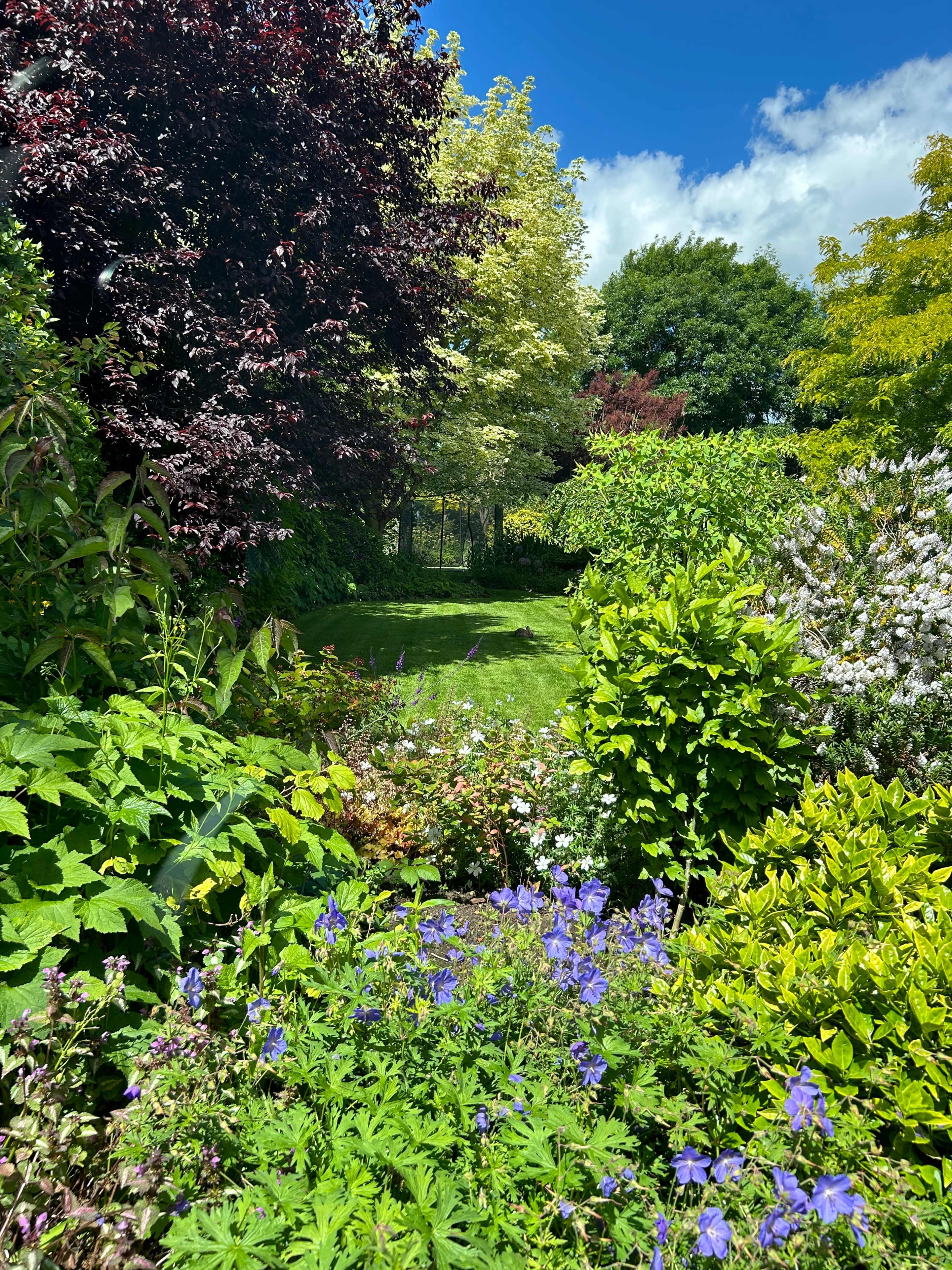 A well-maintained garden pathway features vibrant flowers and lush greenery under a bright blue sky with scattered clouds.