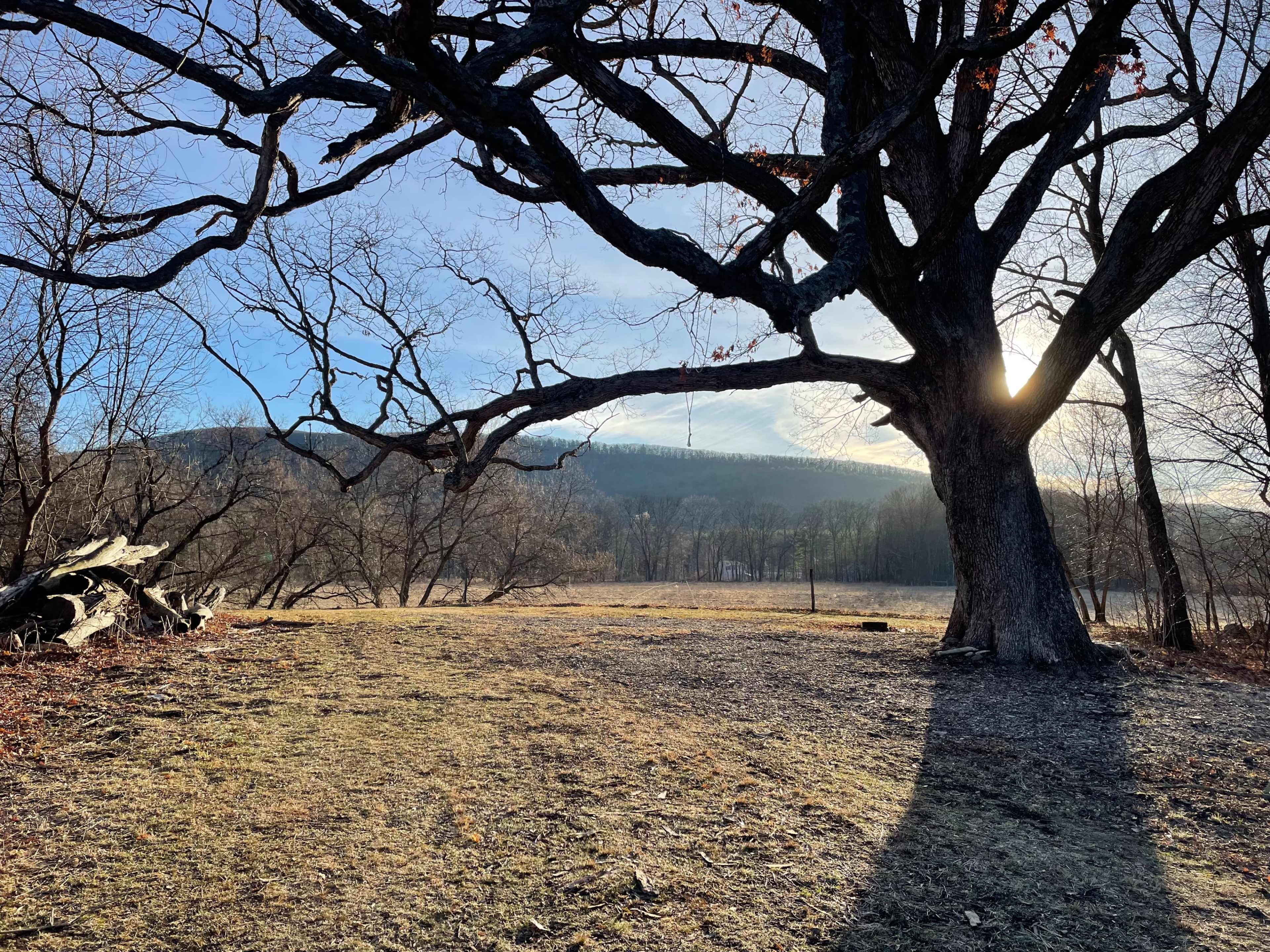 Active farm with pasture views in the Berkshire hills Image in Great Barrington, HOUSATONIC, MA