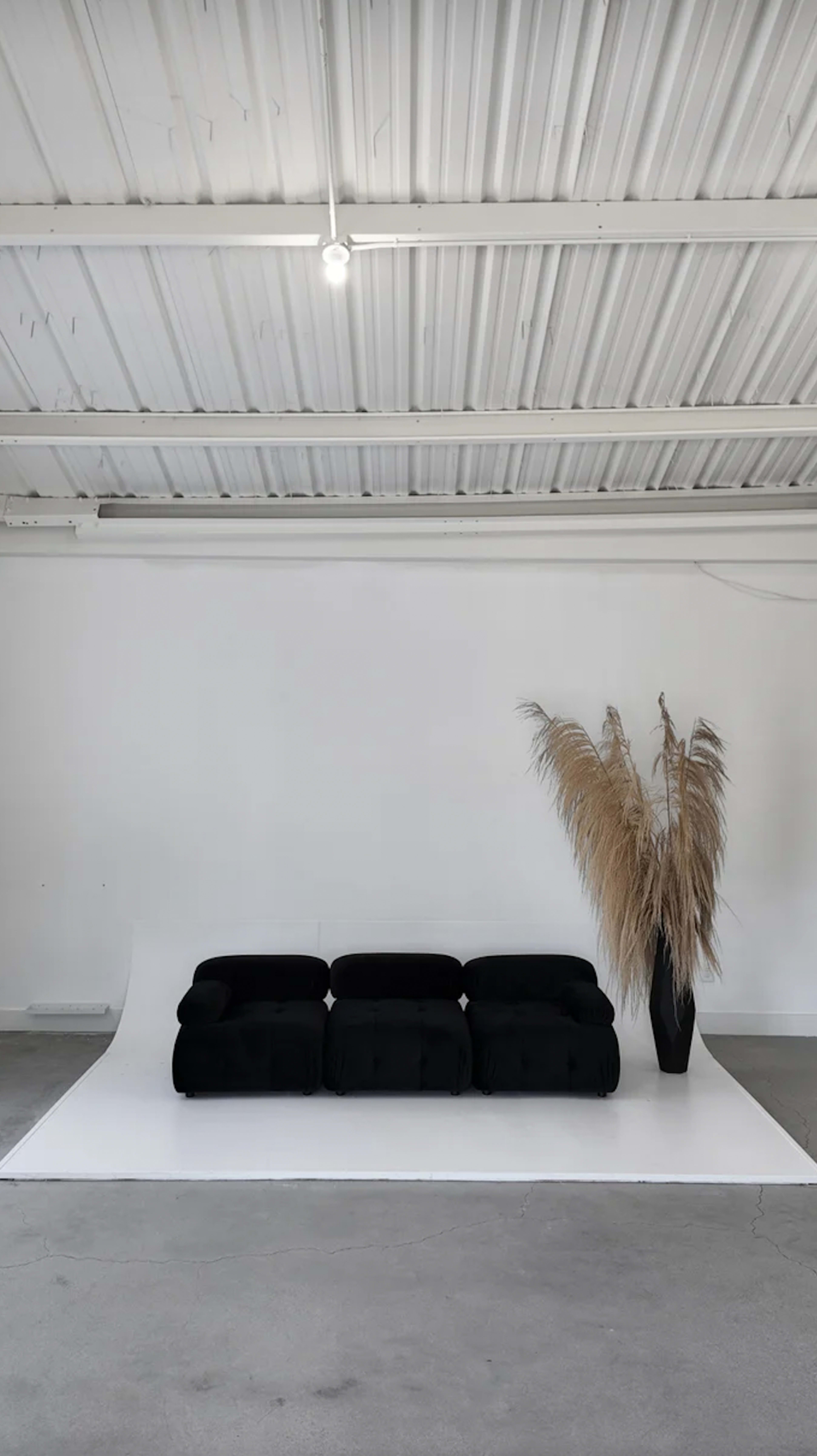 A black sofa is positioned in front of a white backdrop with tall dried grass arranged in a dark vase beside it against a gray floor.