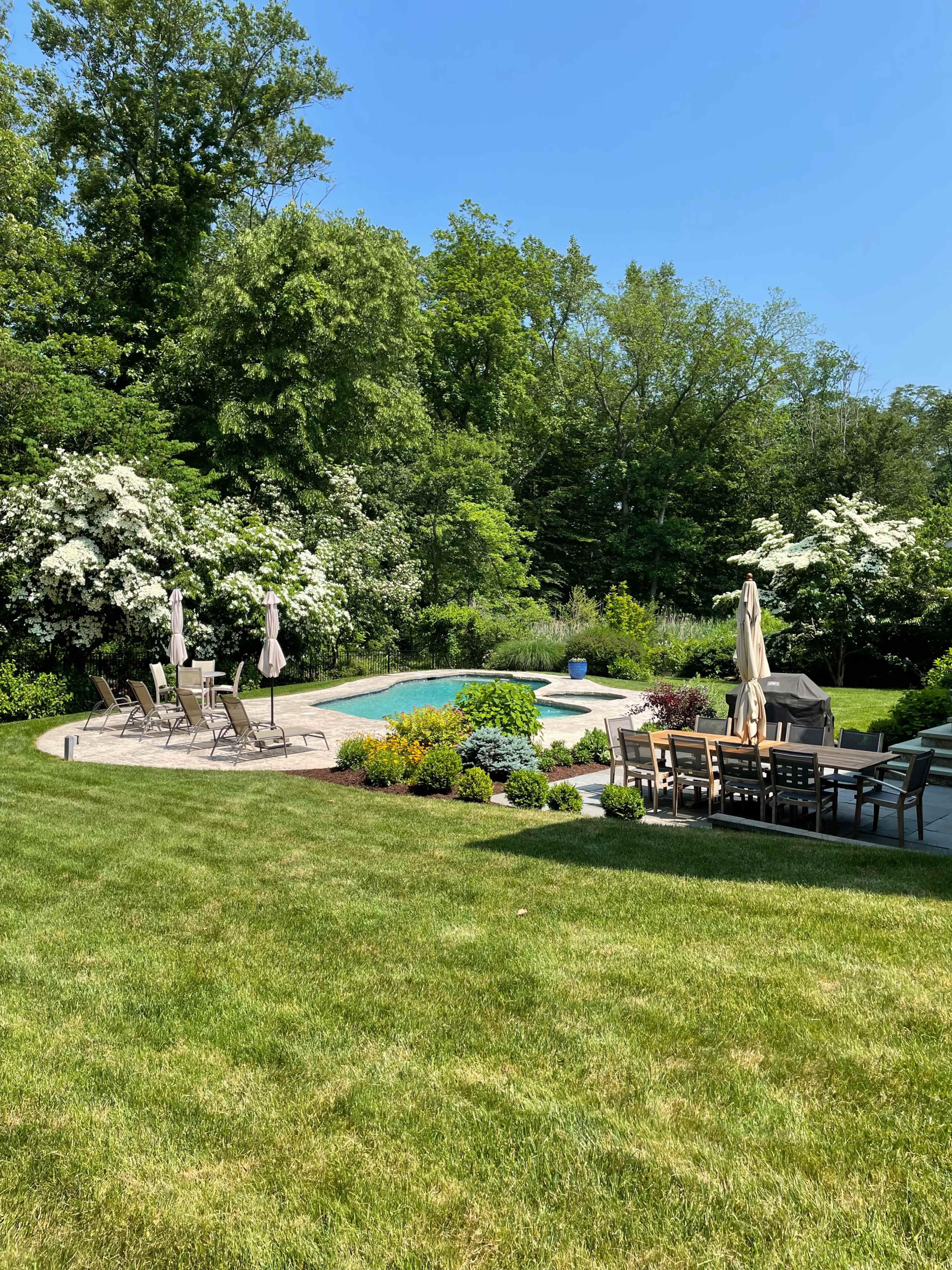 A well-maintained backyard featuring a swimming pool surrounded by lounge chairs and dining furniture, framed by lush green trees and blooming shrubs.