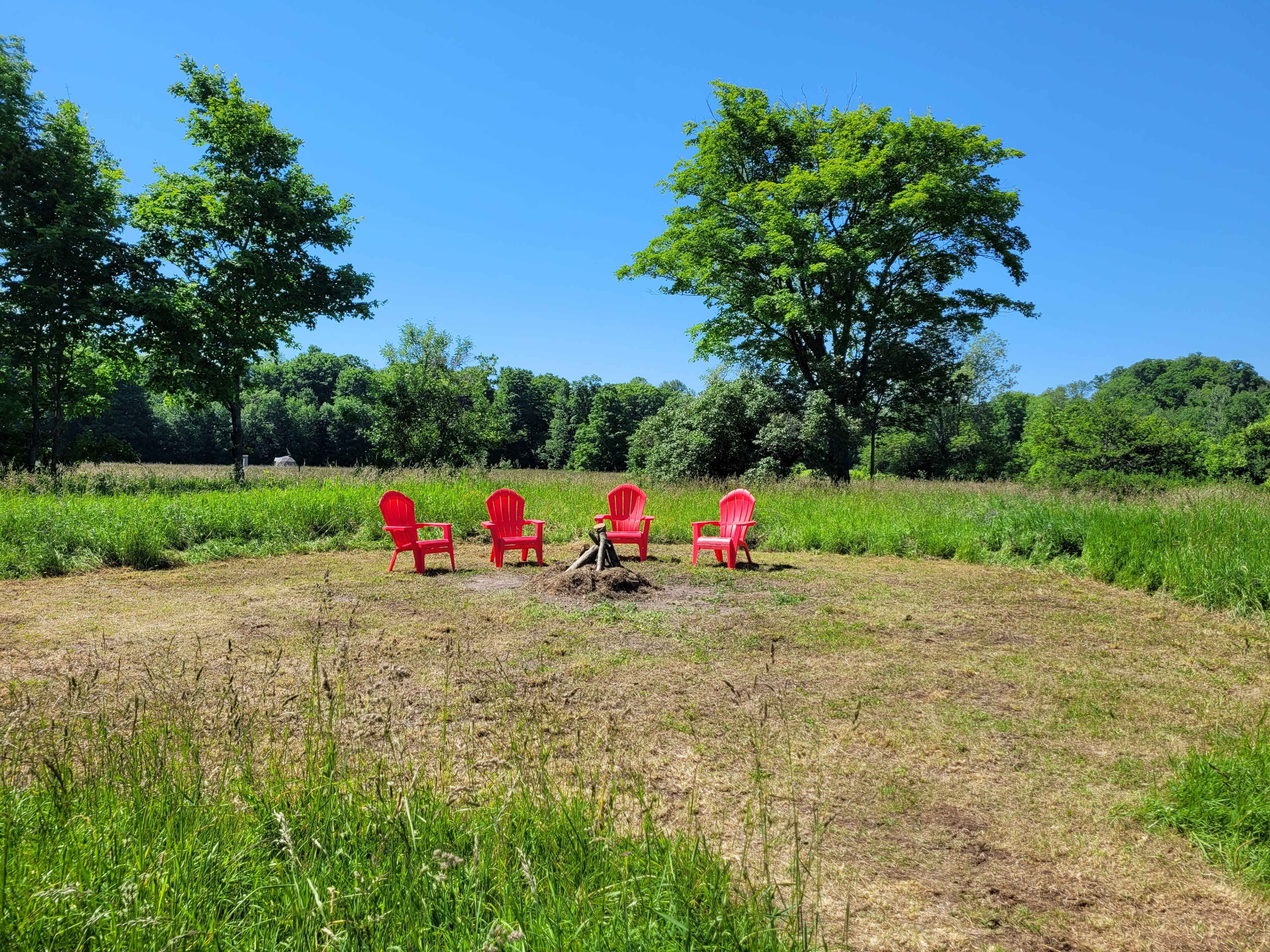 A circle of four red Adirondack chairs surrounds a small fire pit in a grassy clearing surrounded by trees.