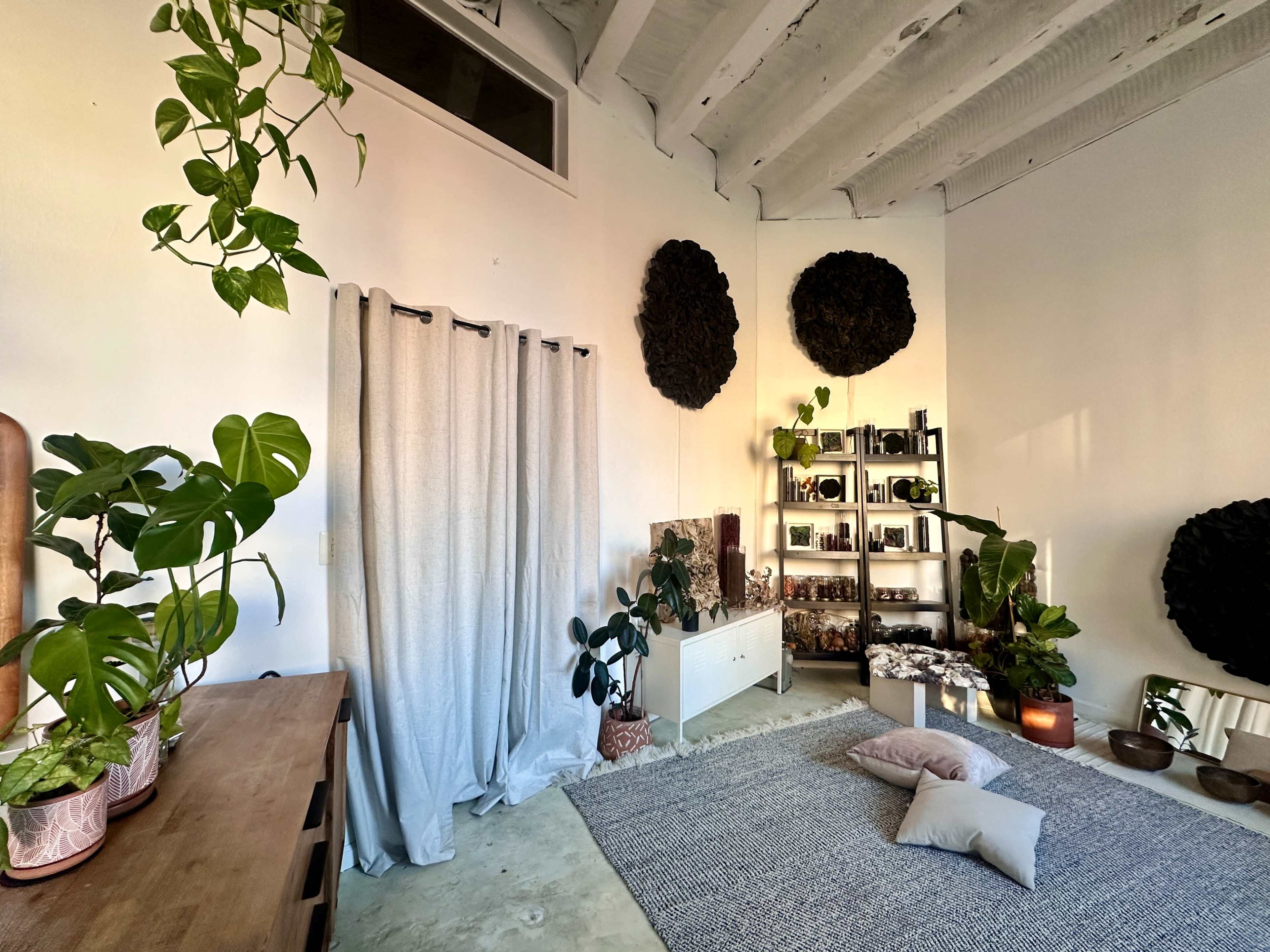 The room features a minimalistic design with a large area rug in the center, houseplants, a white curtain, and a shelving unit against the wall.