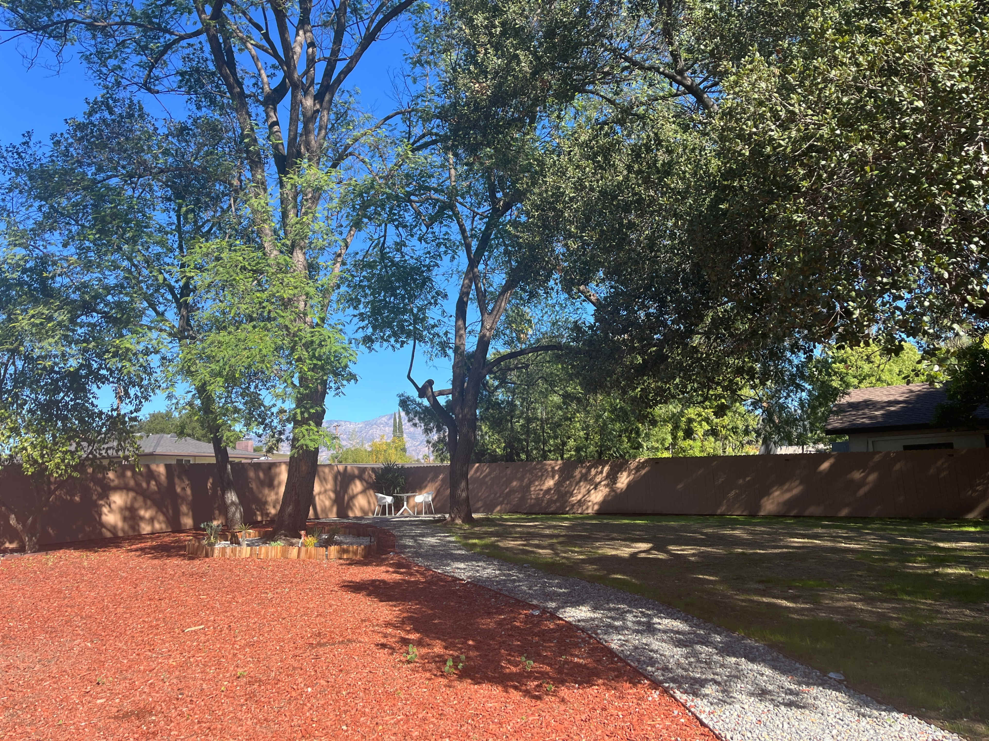 A backyard features a gravel path, a red mulch area, and two large trees with a wooden fence in the background.