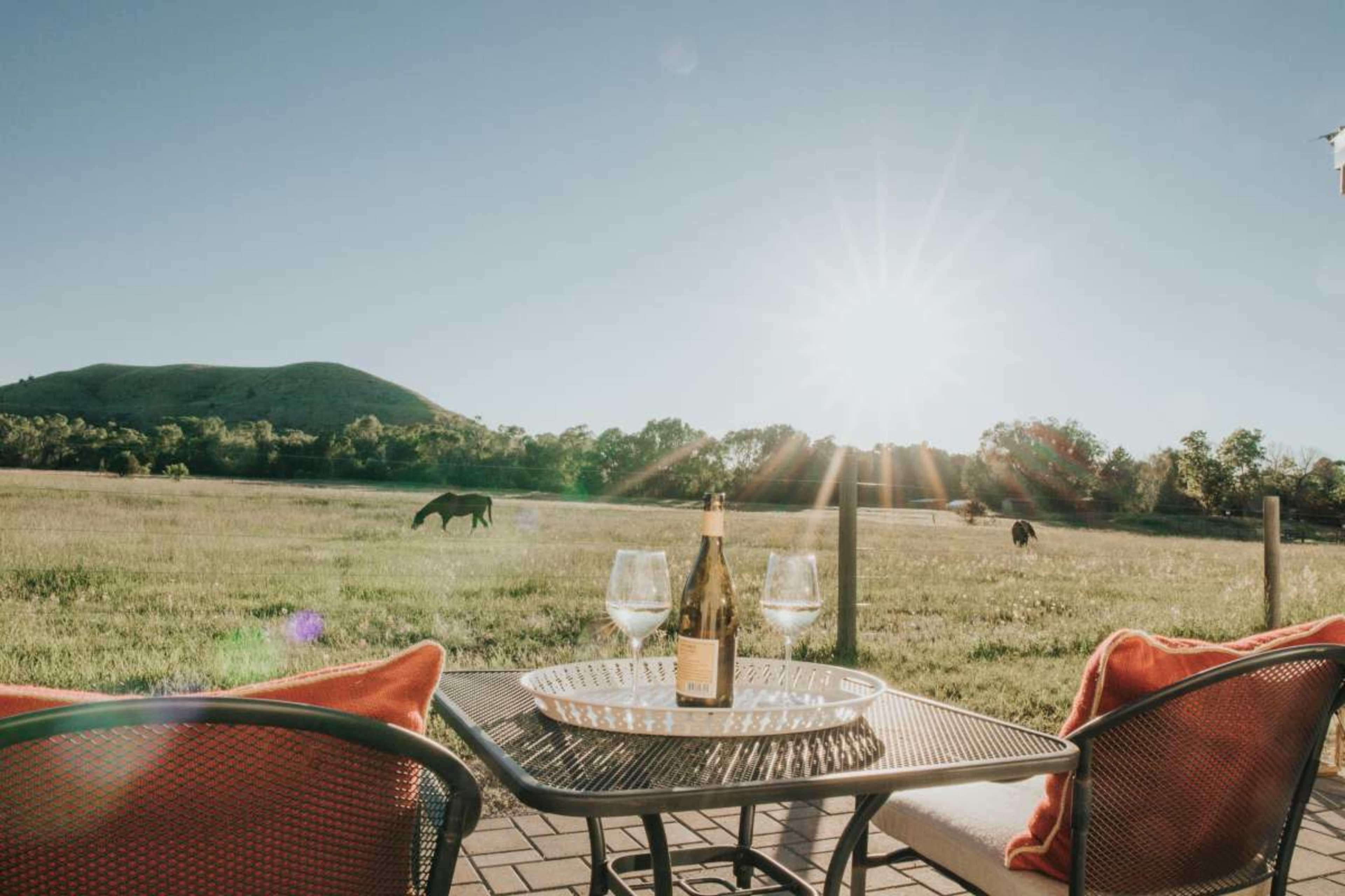 A bottle of champagne sits on a tray between two glasses on a table overlooking a grassy field with horses and a setting sun.