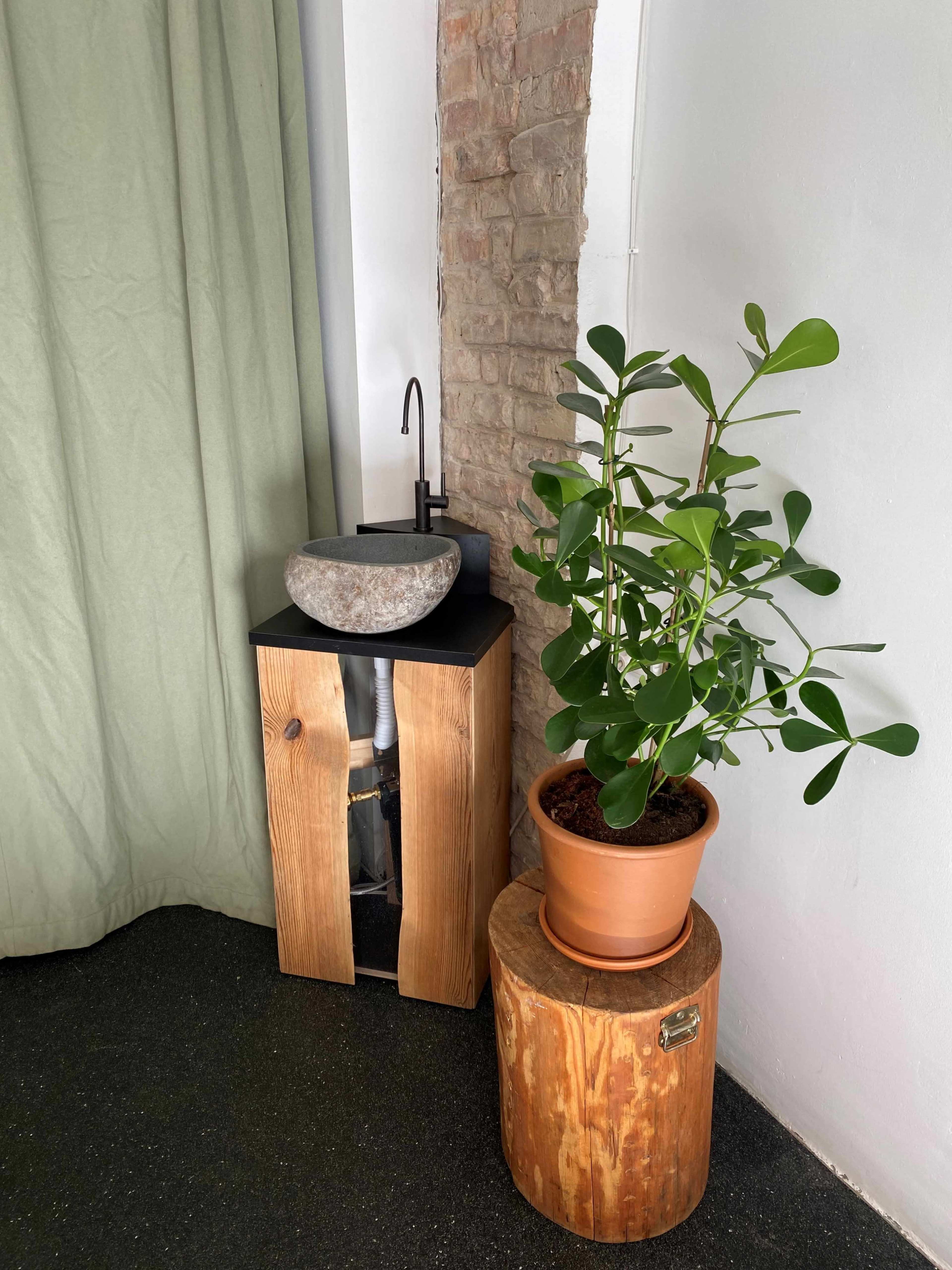 A wooden sink stand with a stone basin beside a green curtain and a potted plant on a wooden stump.