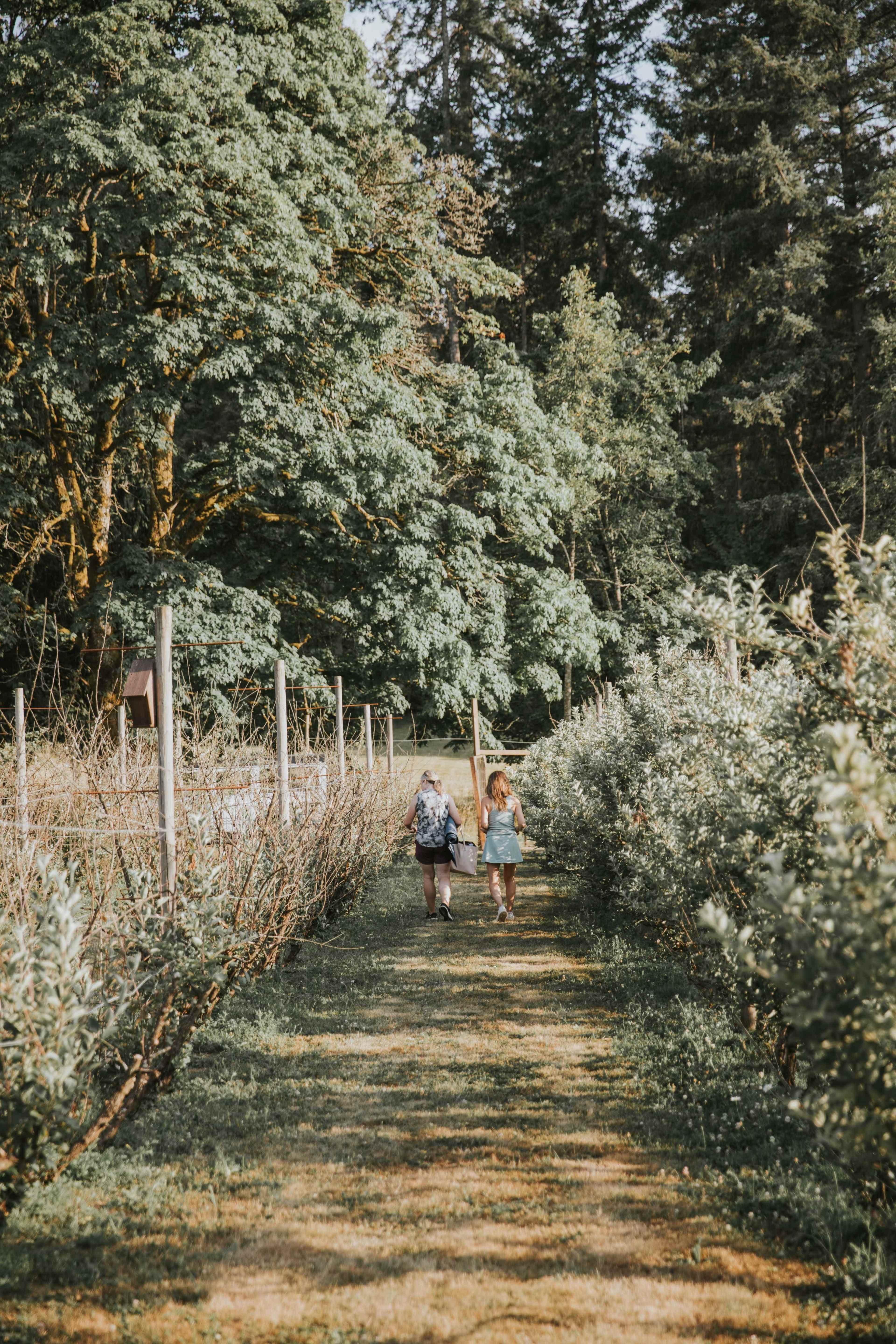 Rustic 8 acre cider farm Image in Saanich, Victoria, BC