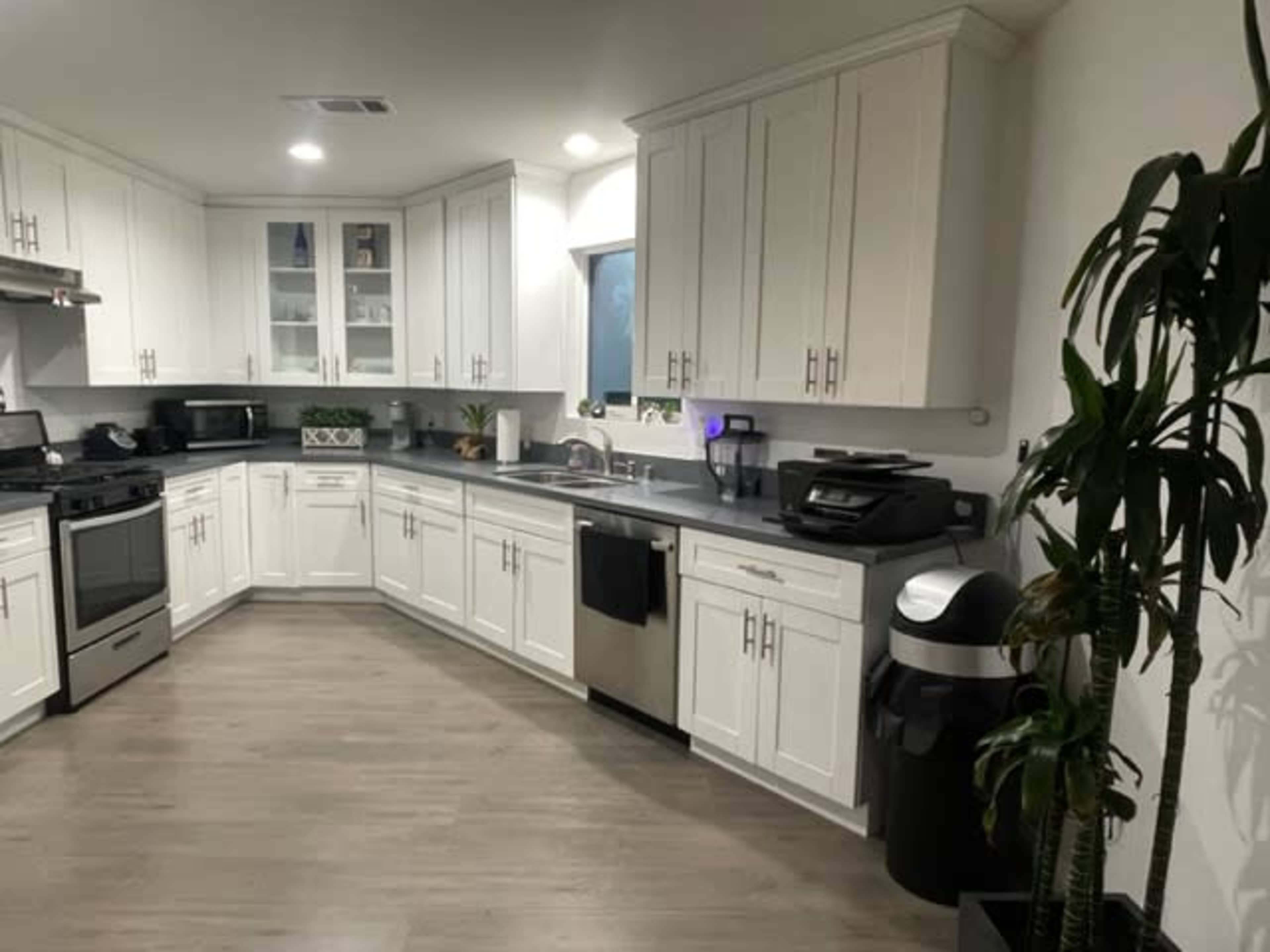 A modern kitchen featuring white cabinets, stainless steel appliances, and a potted plant in the corner.