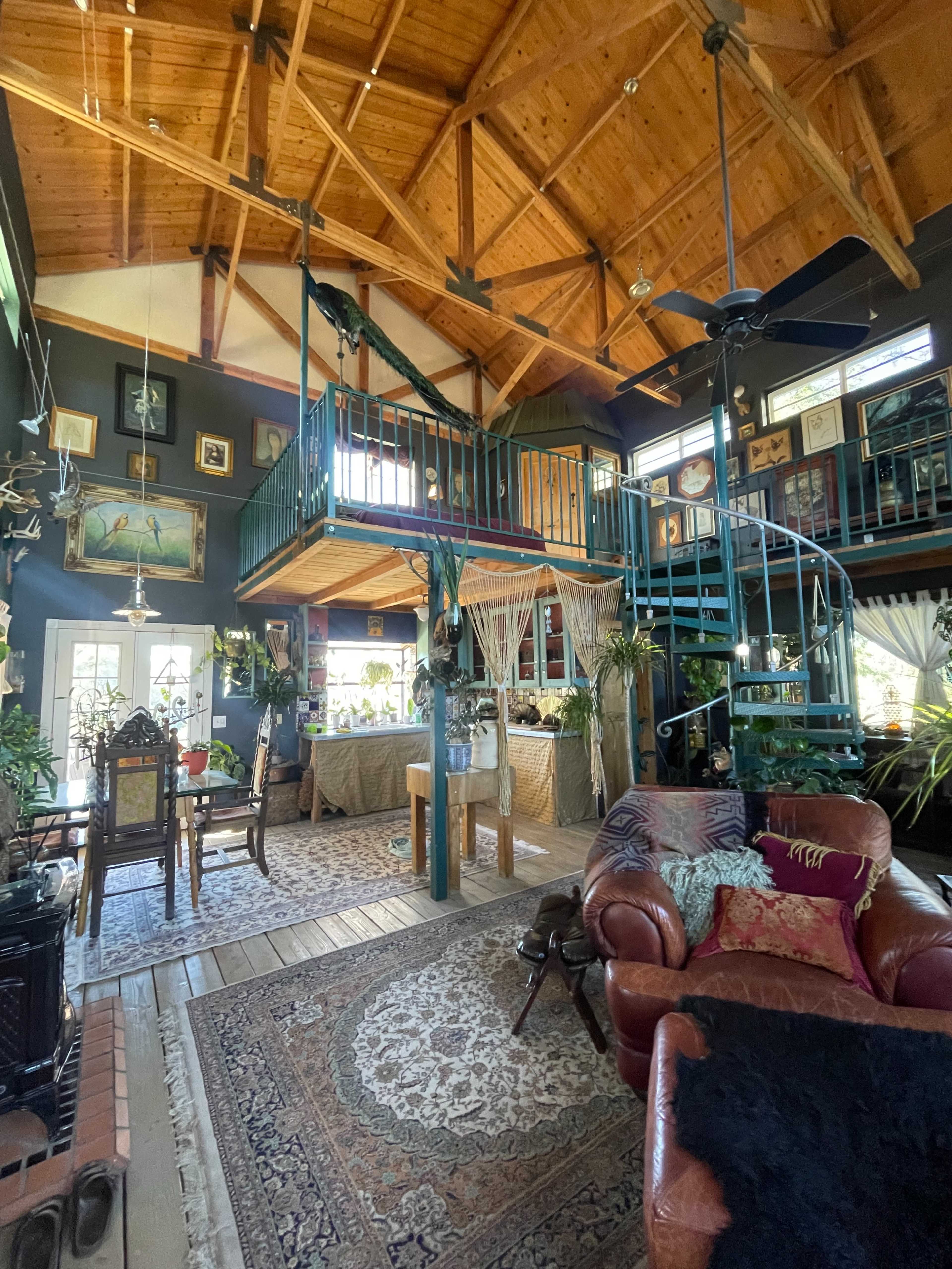 The image shows a spacious, rustic living area with high wooden ceilings, a spiral staircase leading to a loft, and various plants and artworks adorning the walls.
