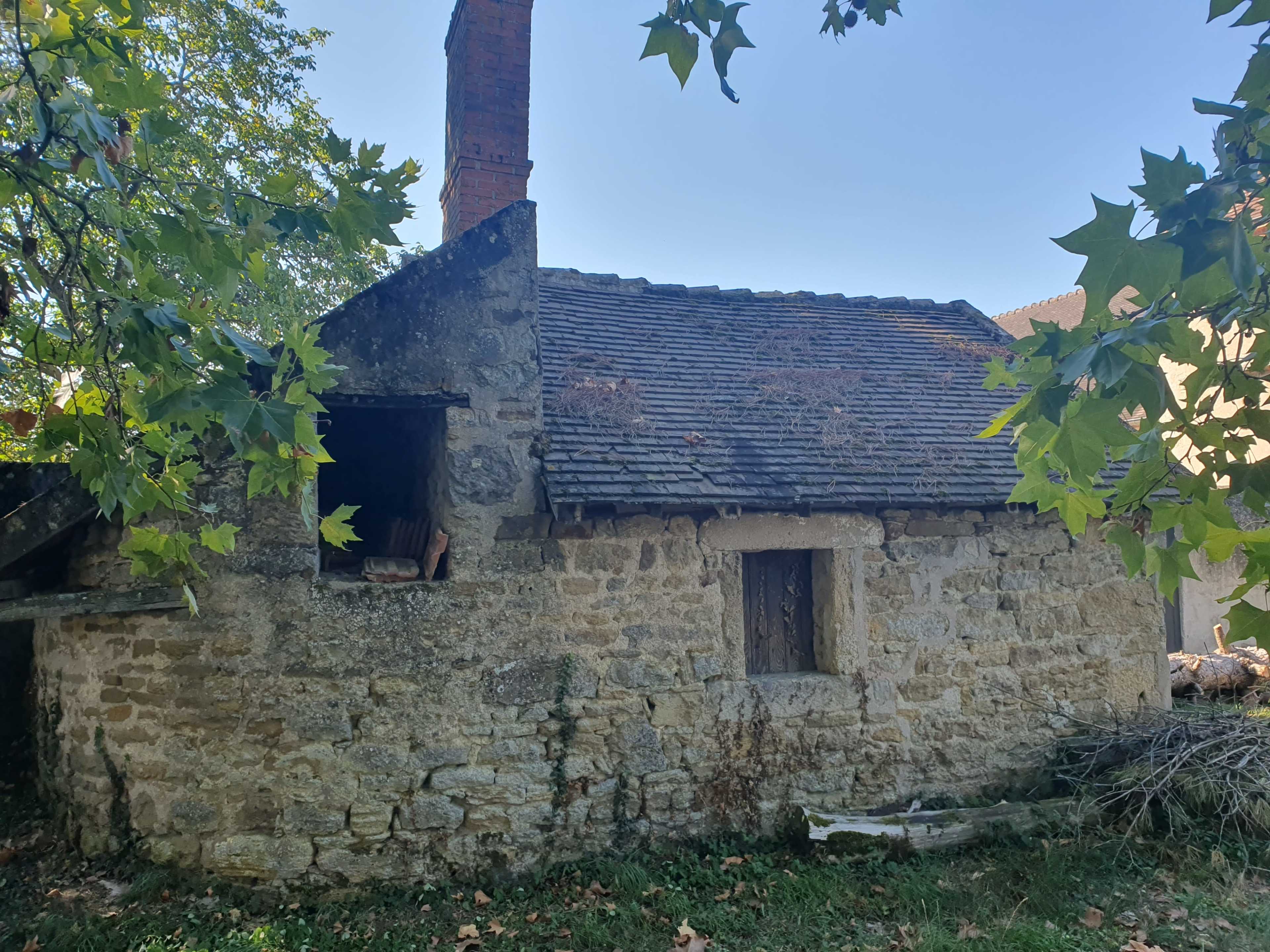 A small stone cottage with a sloped roof and a chimney is surrounded by trees and overgrown vegetation.