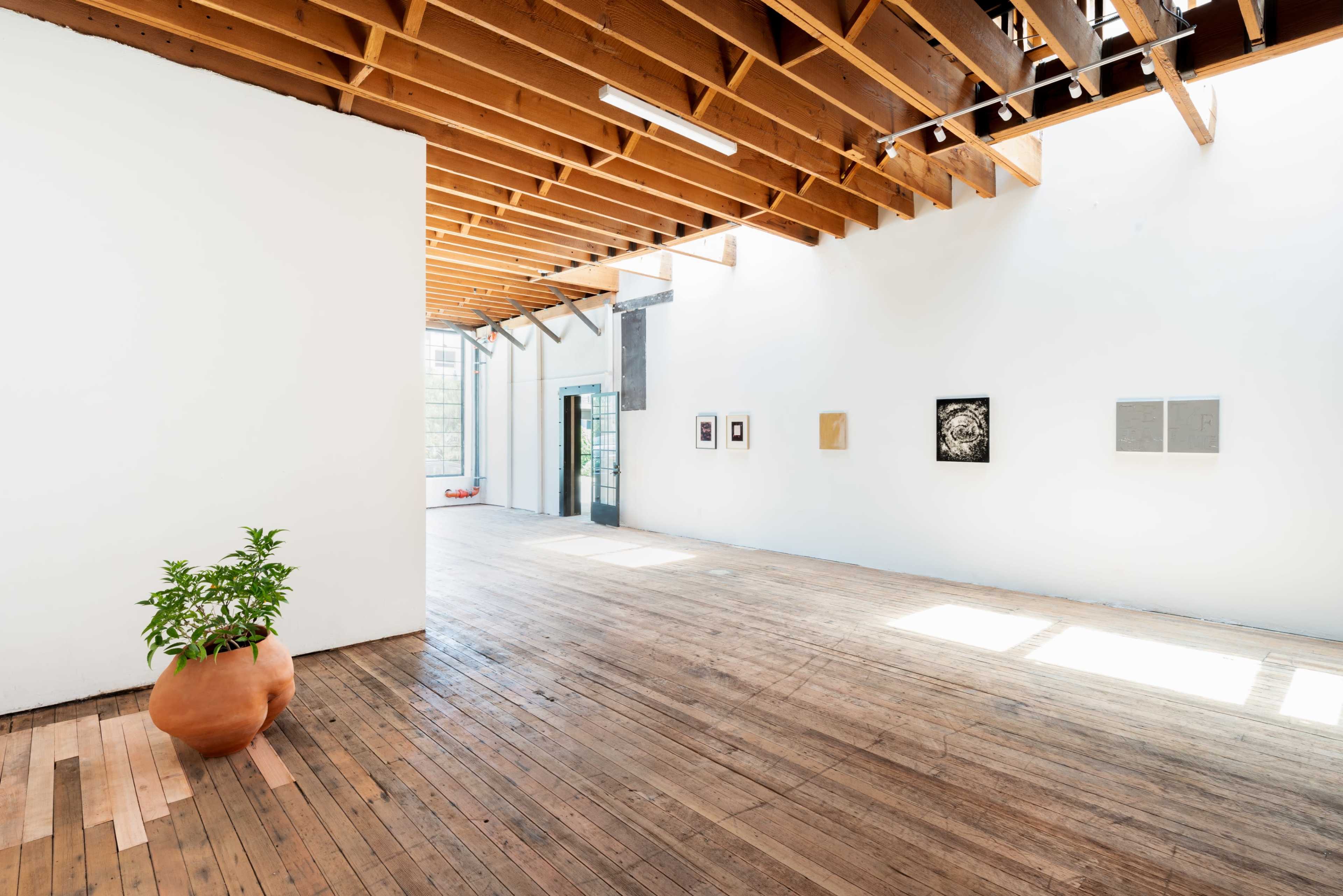 A spacious art gallery with wooden floors, white walls, and several framed artworks displayed on one wall, along with a large clay planter holding a plant.