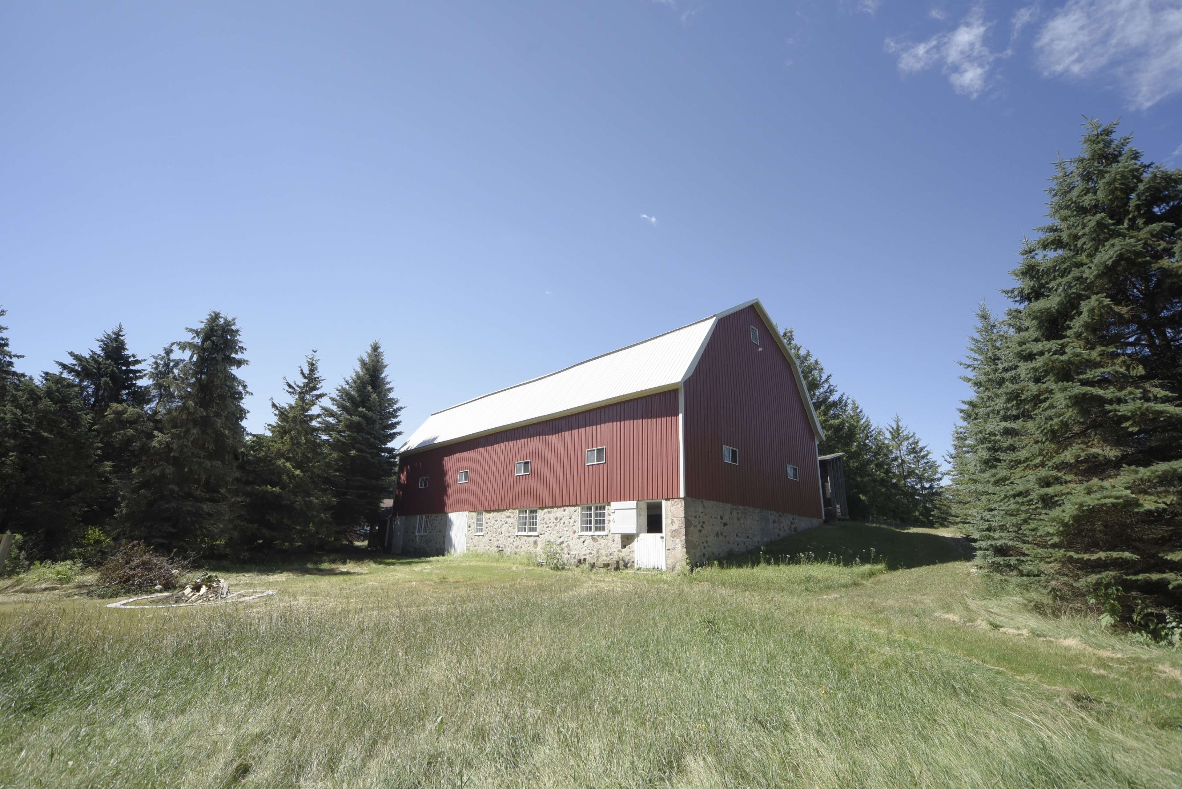 A red barn with a metal roof is situated in a grassy field surrounded by evergreen trees under a clear blue sky.