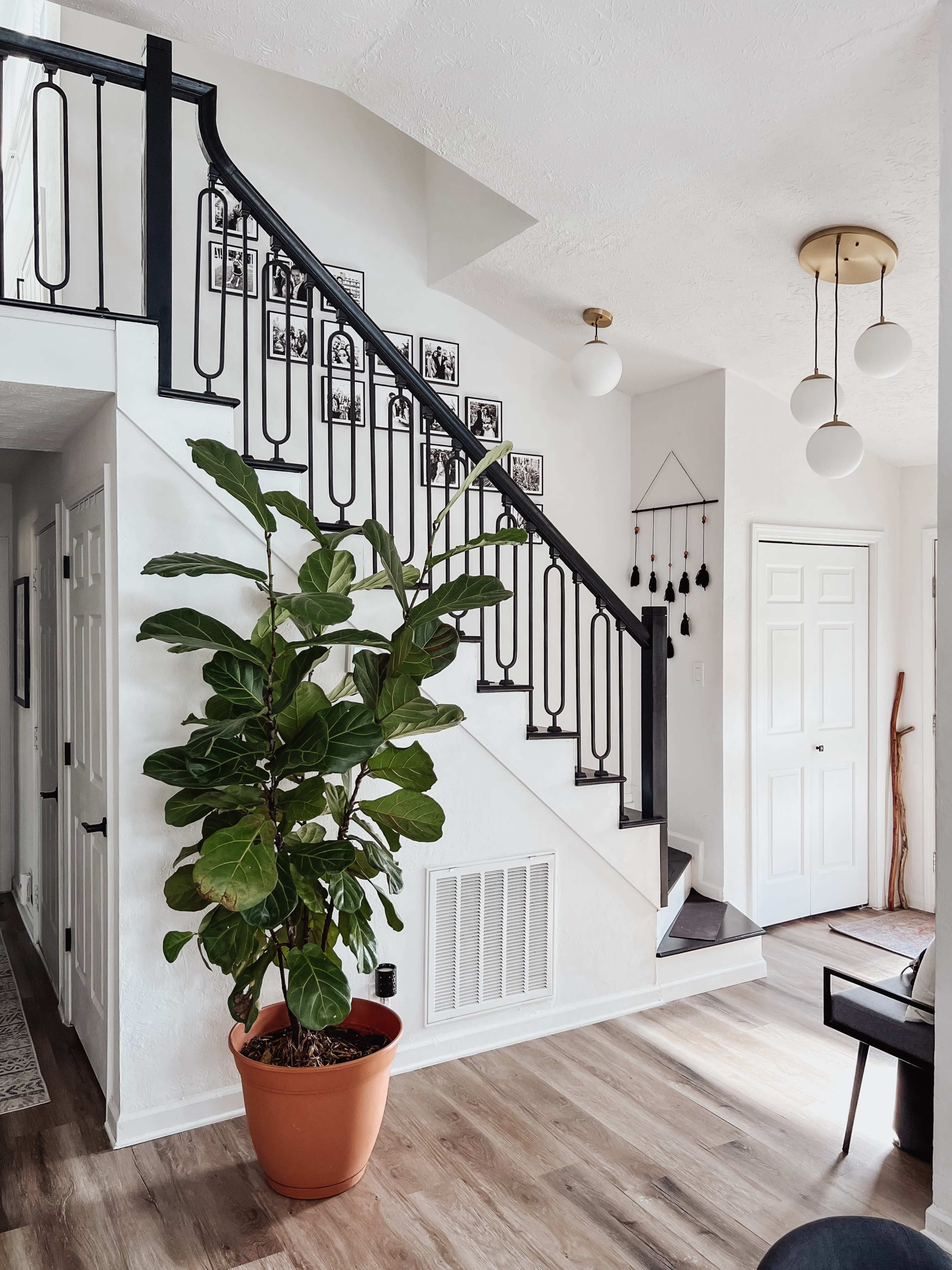 Garage Photo Studio Only Image in Mt. Juliet, Mount Juliet, TN