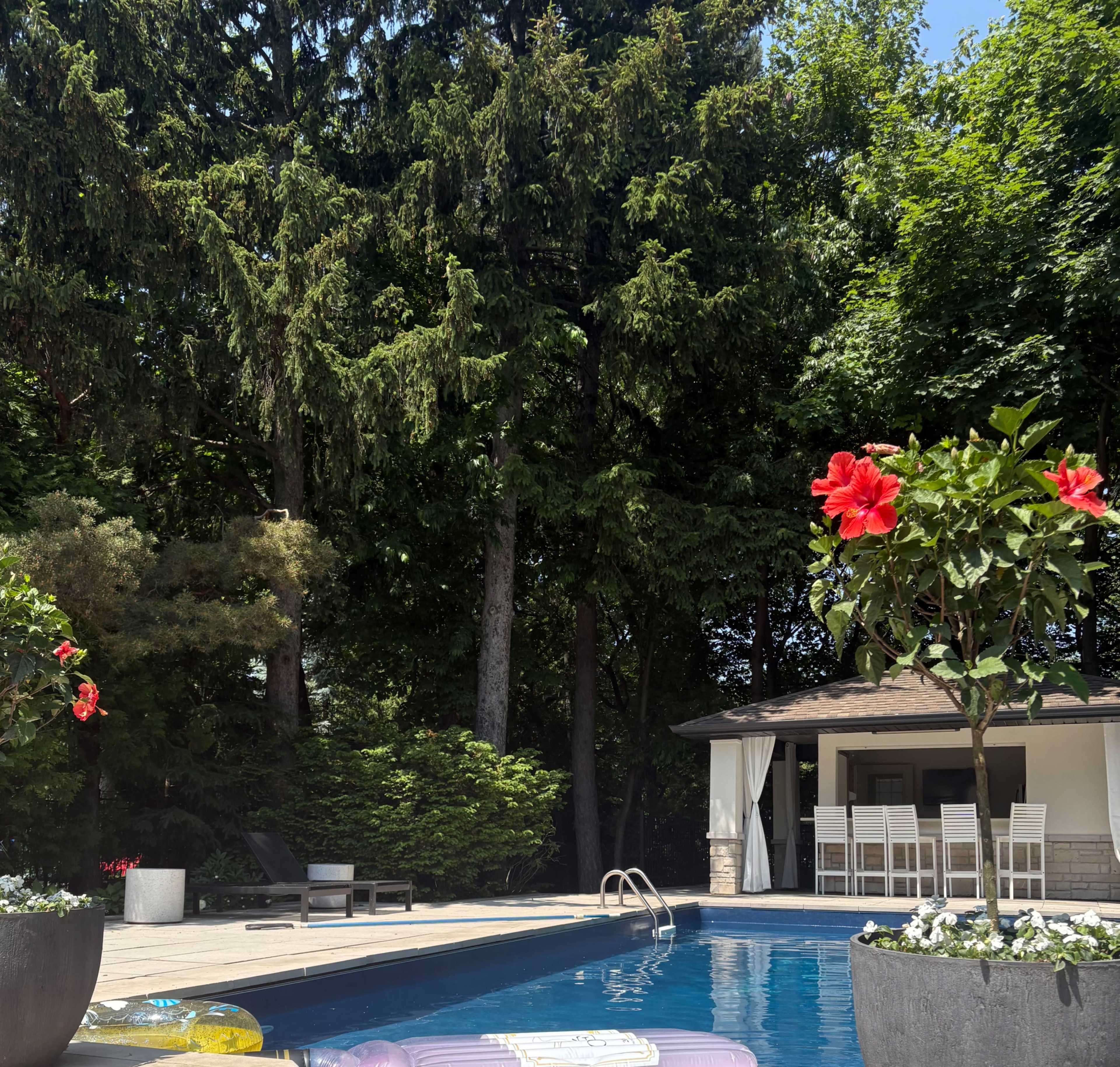The image shows a swimming pool surrounded by lush greenery and flowers, with a patio area featuring lounge chairs and a gazebo.