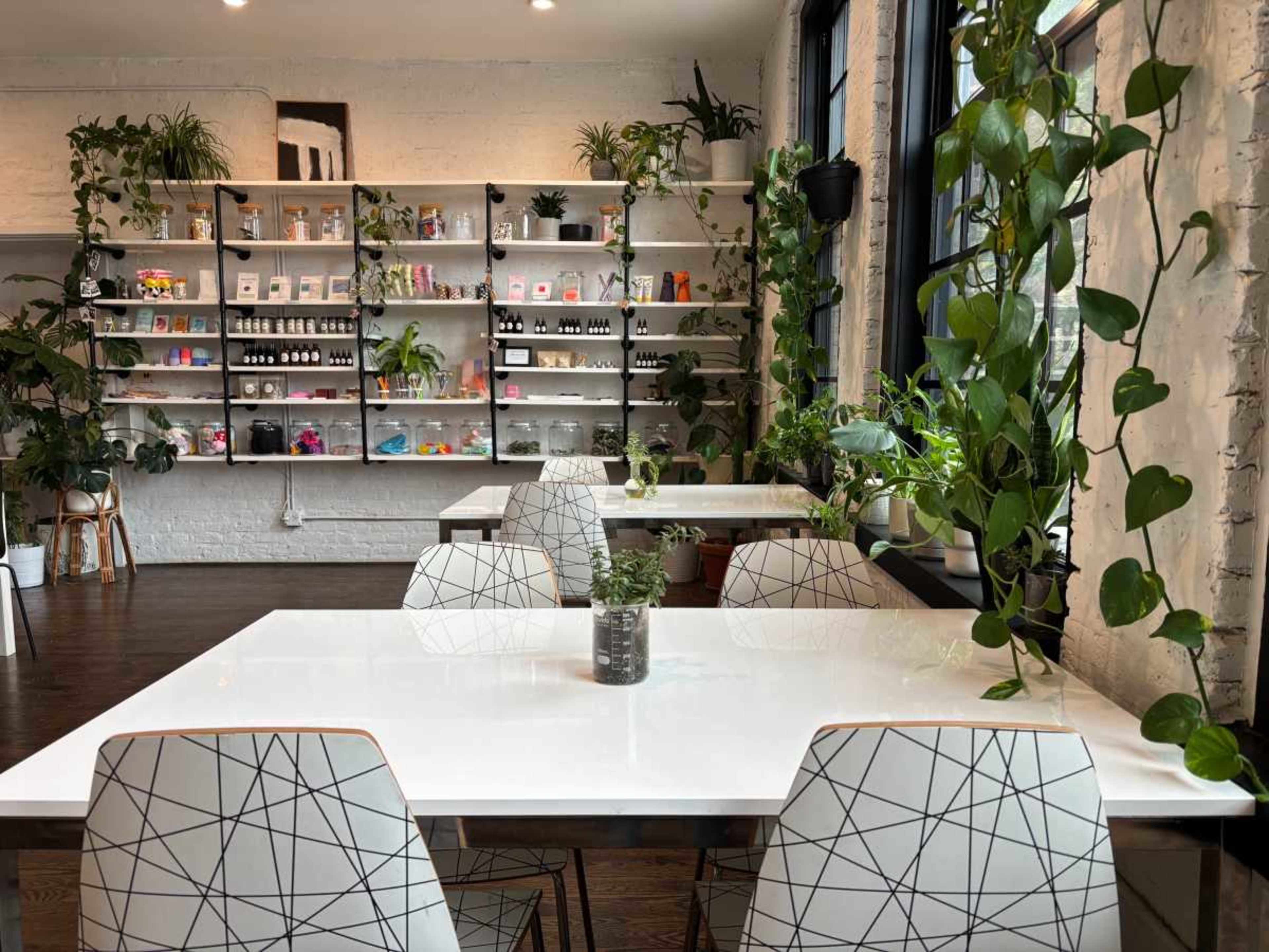 The image shows a modern cafe with white tables and geometric chairs, surrounded by shelves filled with various products and numerous plants.