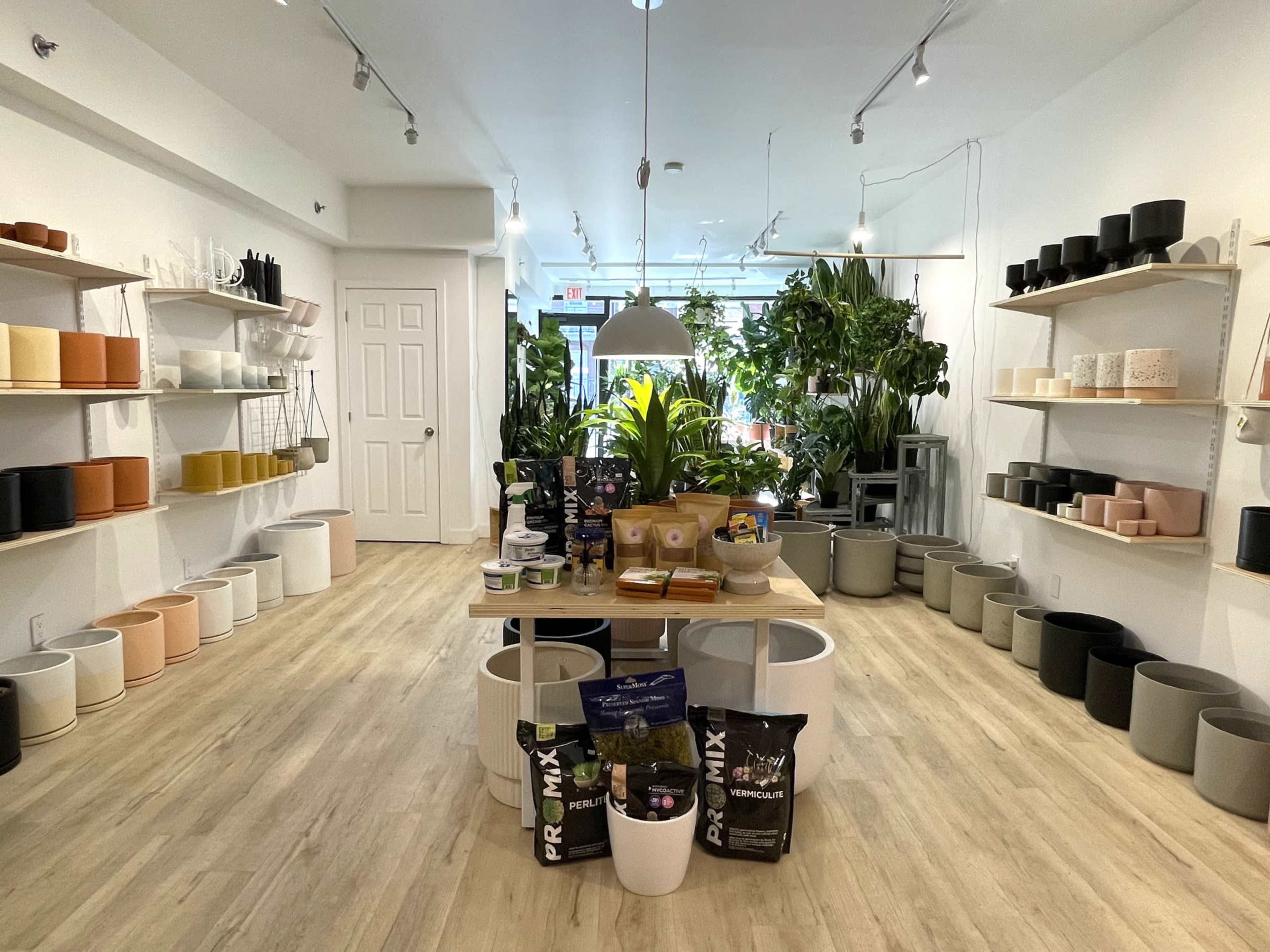 A clean, well-organized plant store features various decorative pots, gardening supplies, and greenery arranged on shelves and tables.