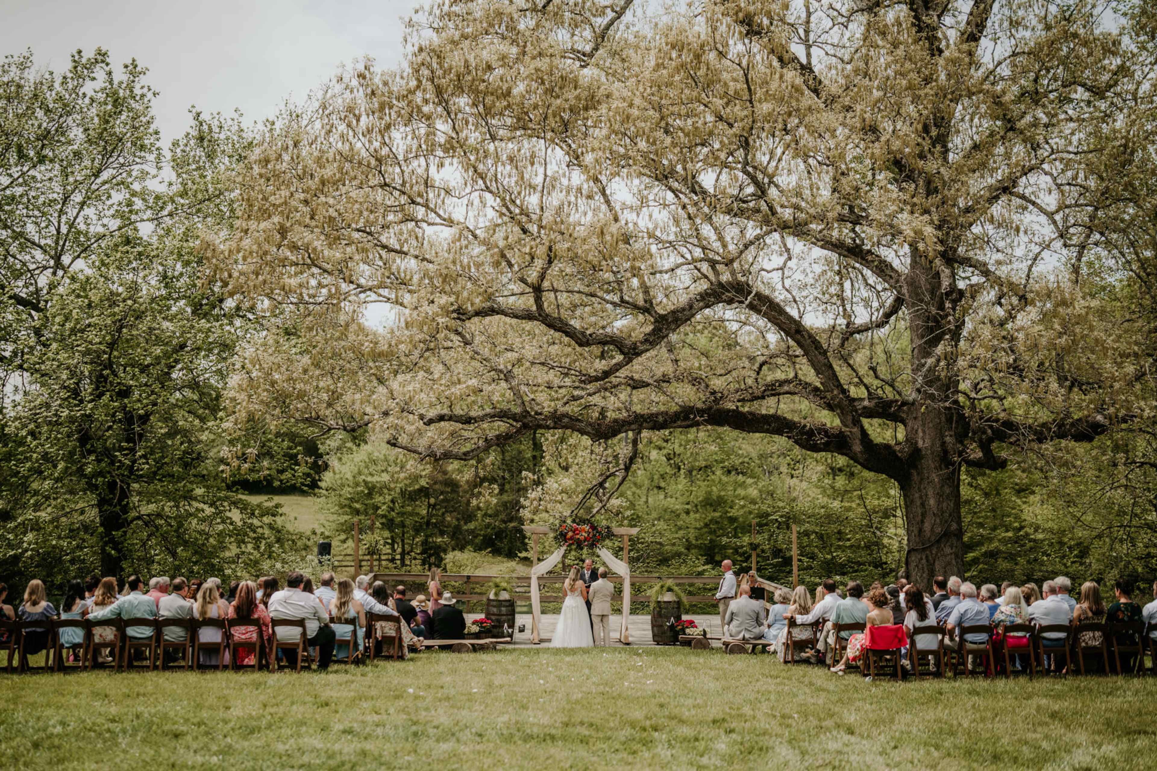 A wedding ceremony is taking place outdoors under a large tree, with the bride and groom facing their assembled guests.
