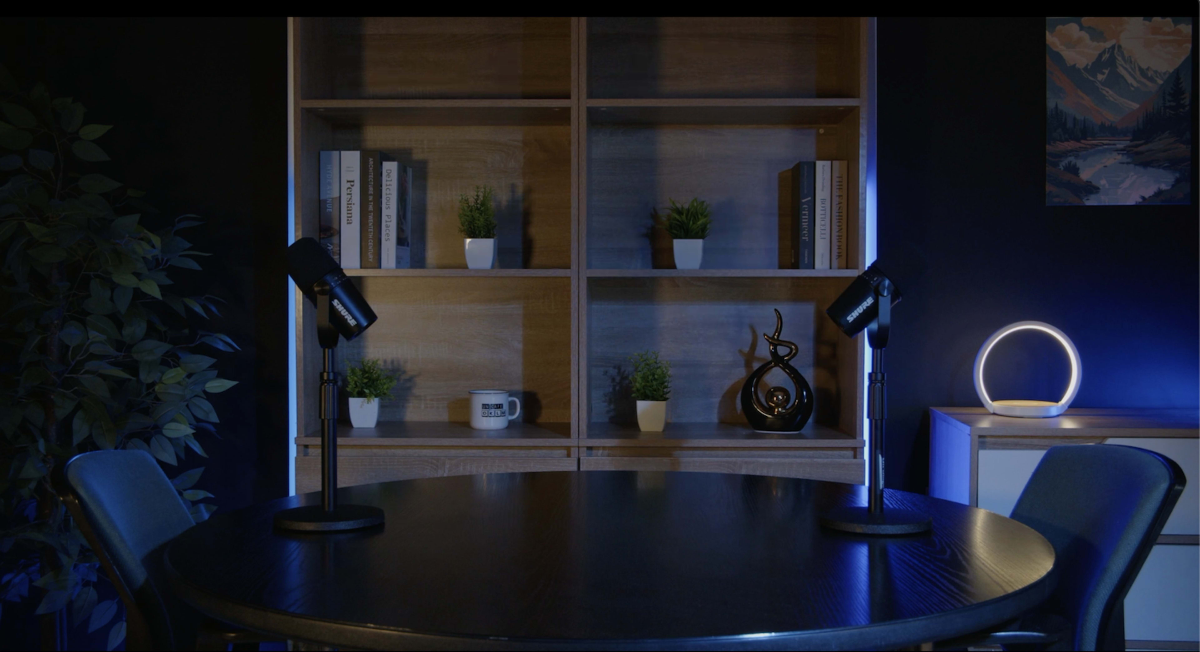 A dimly lit room features a round table with two microphones, surrounded by chairs, and a shelf displaying small plants and decorative items.