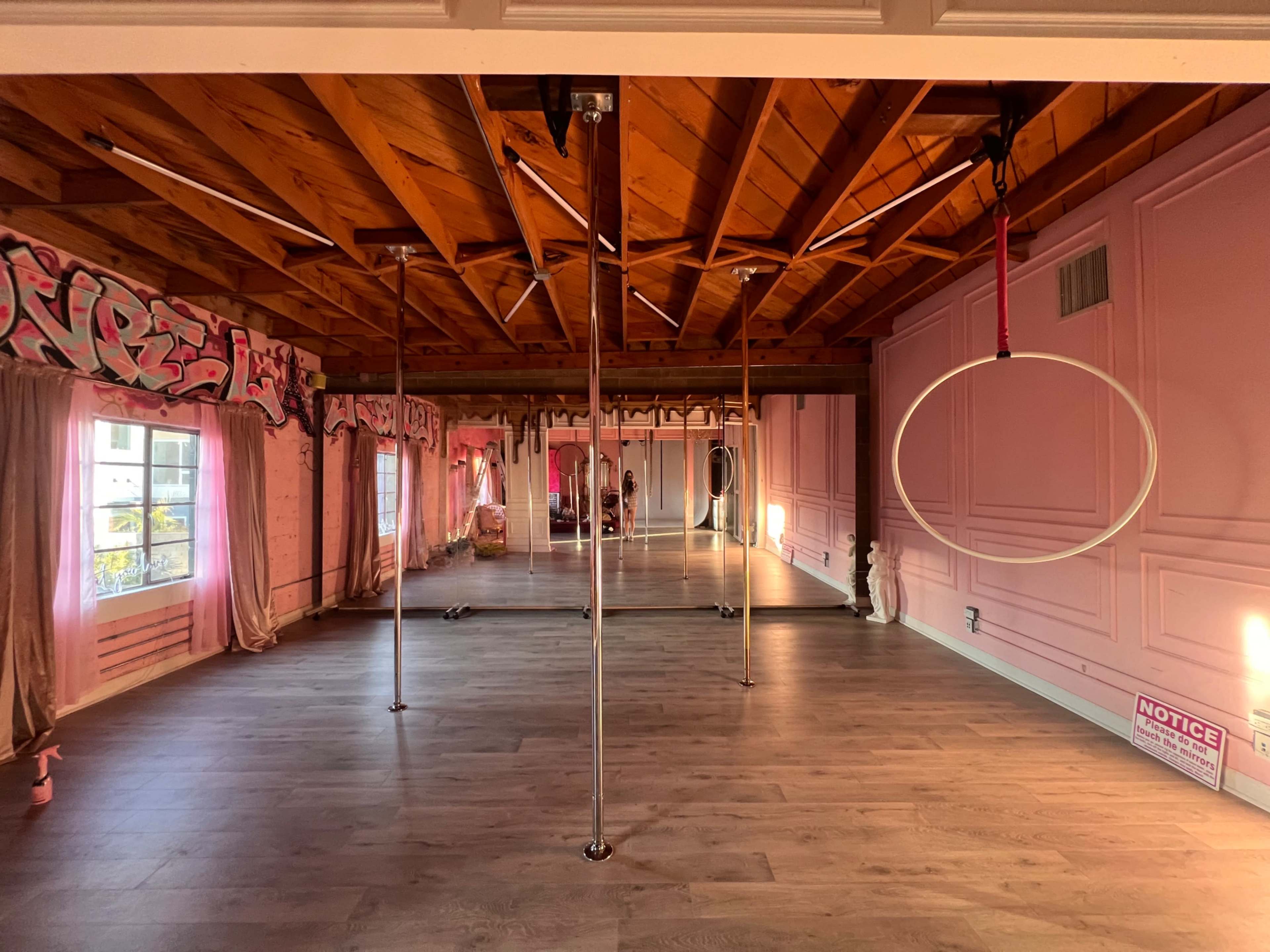 Pink Pole Dance Studio with a Cyc and a Bathtub Image in Hollywood, Hollywood, CA