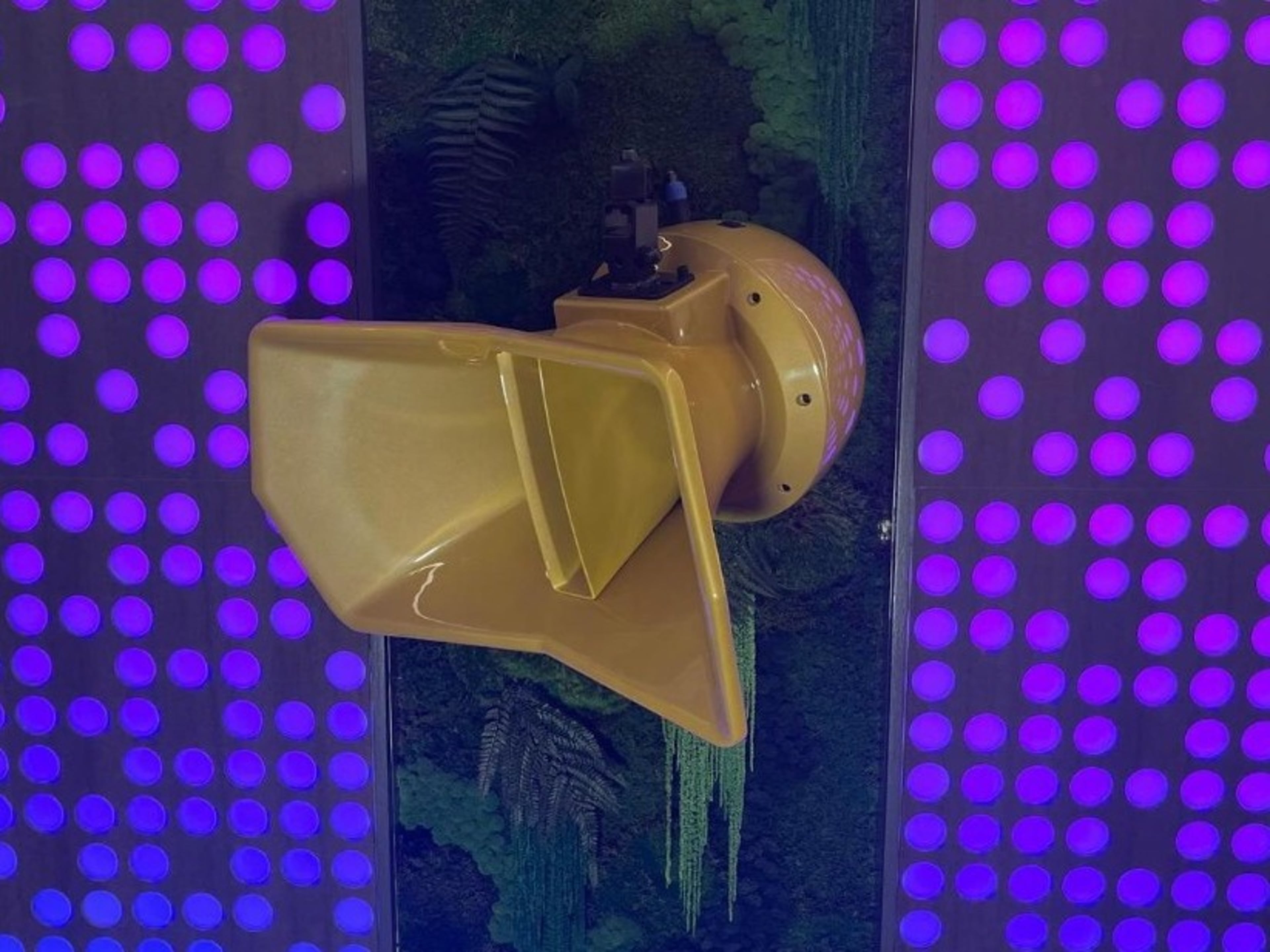 World Class Custom Audio System