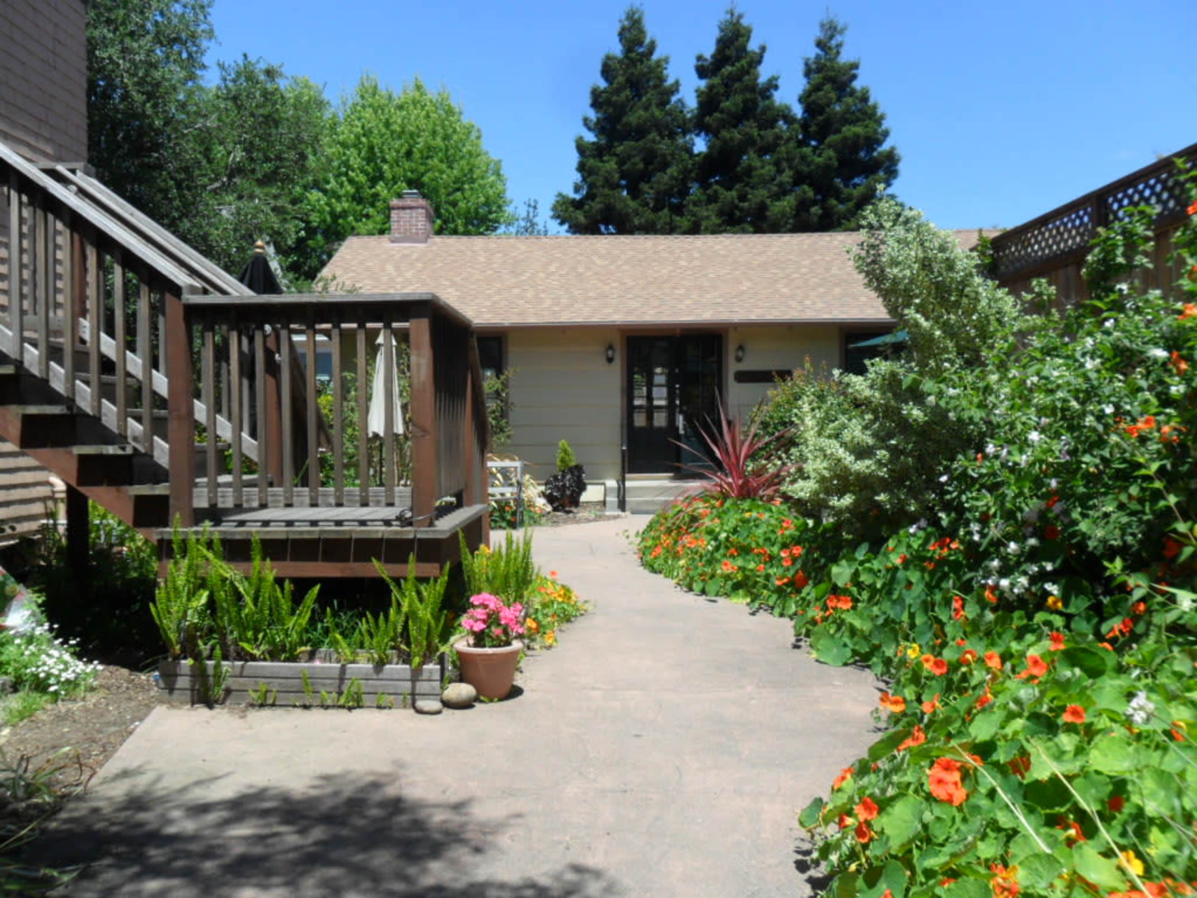 Sunny Courtyard Garden Space Image in Alameda, Alameda, CA