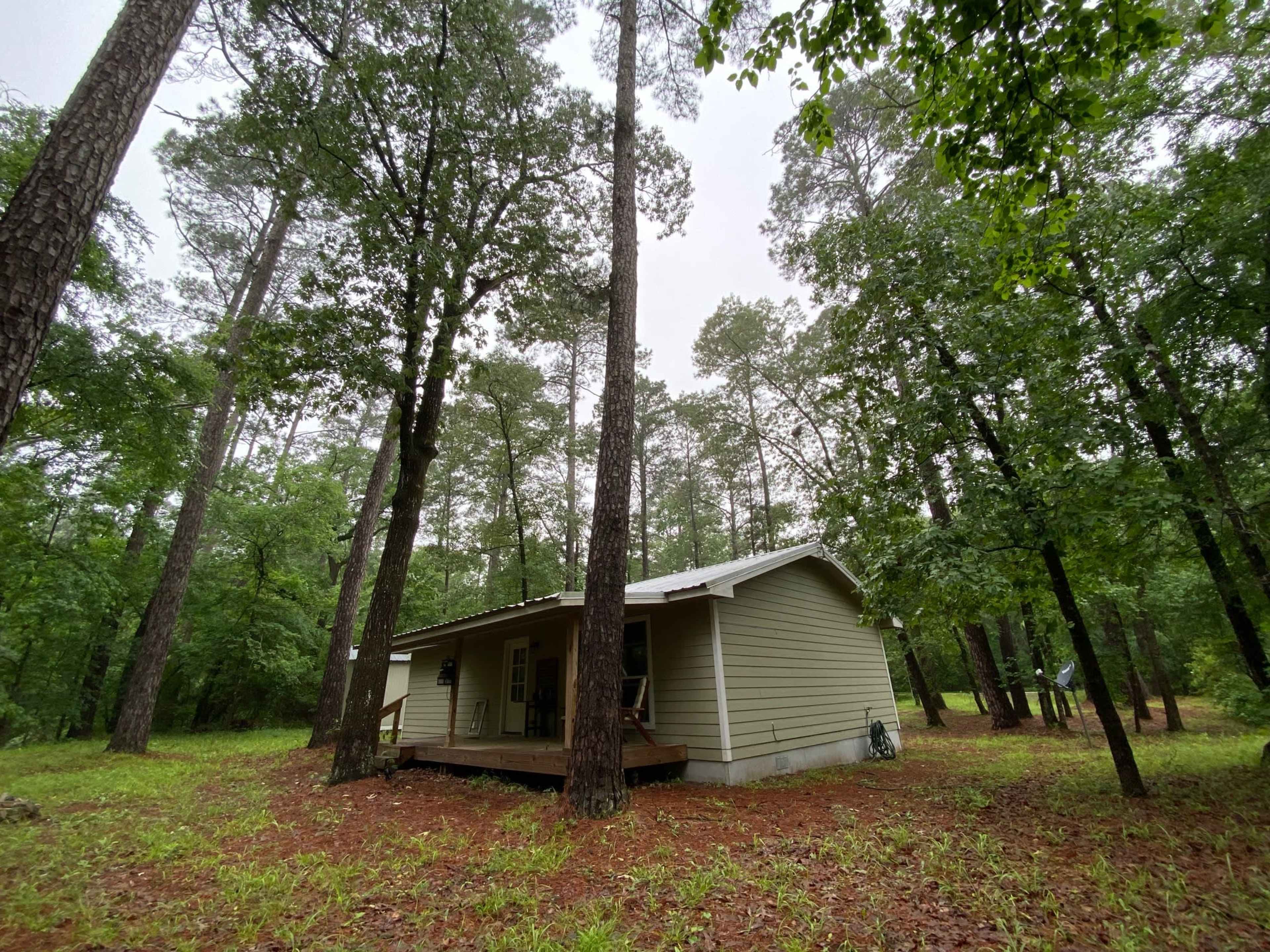 A single-story house is situated among tall pine trees in a wooded area, with a small porch visible in front.