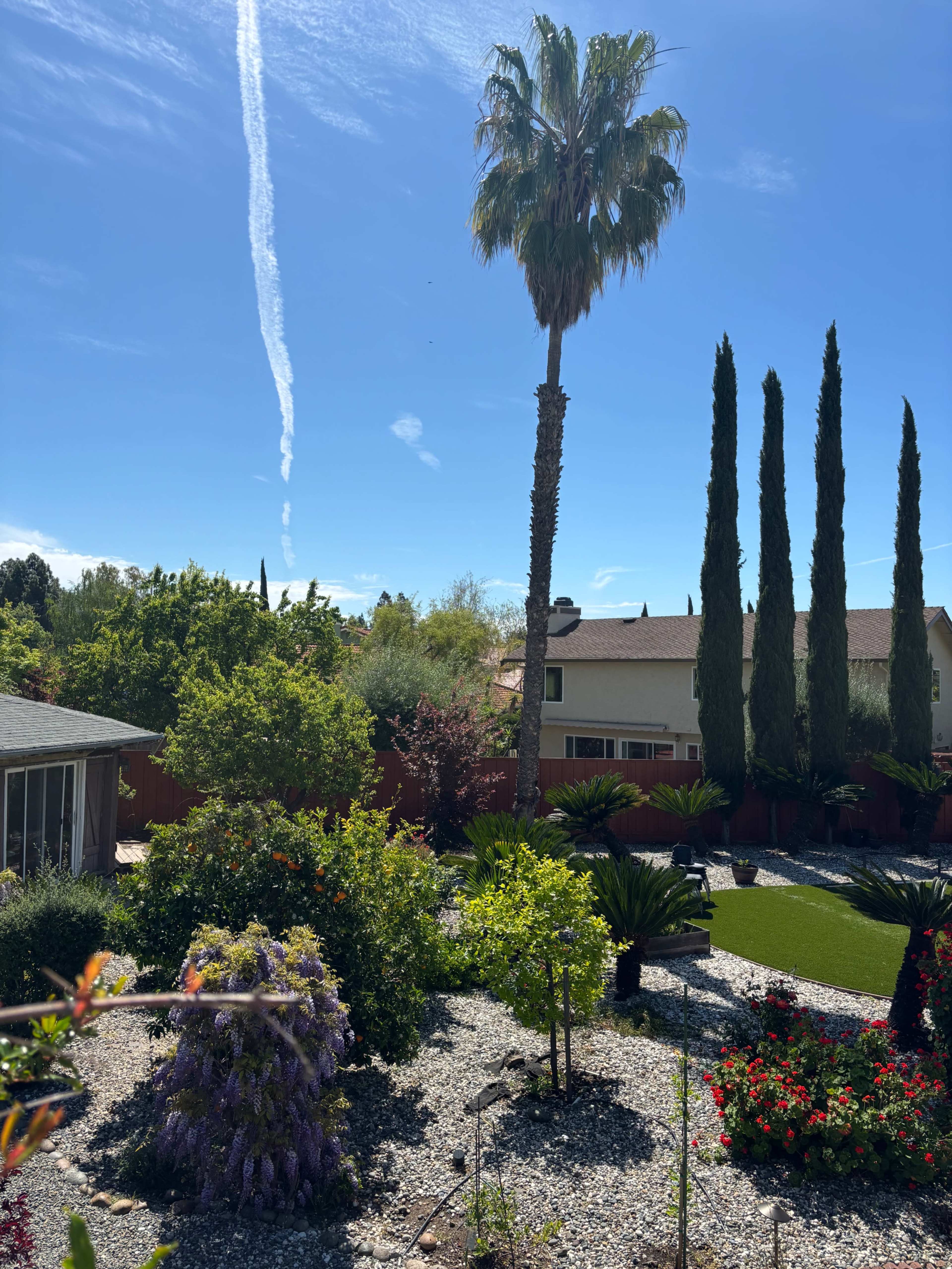 18000 sq ft backyard in a orchard setting  with a rooftop Image in Weibel, FREMONT, CA