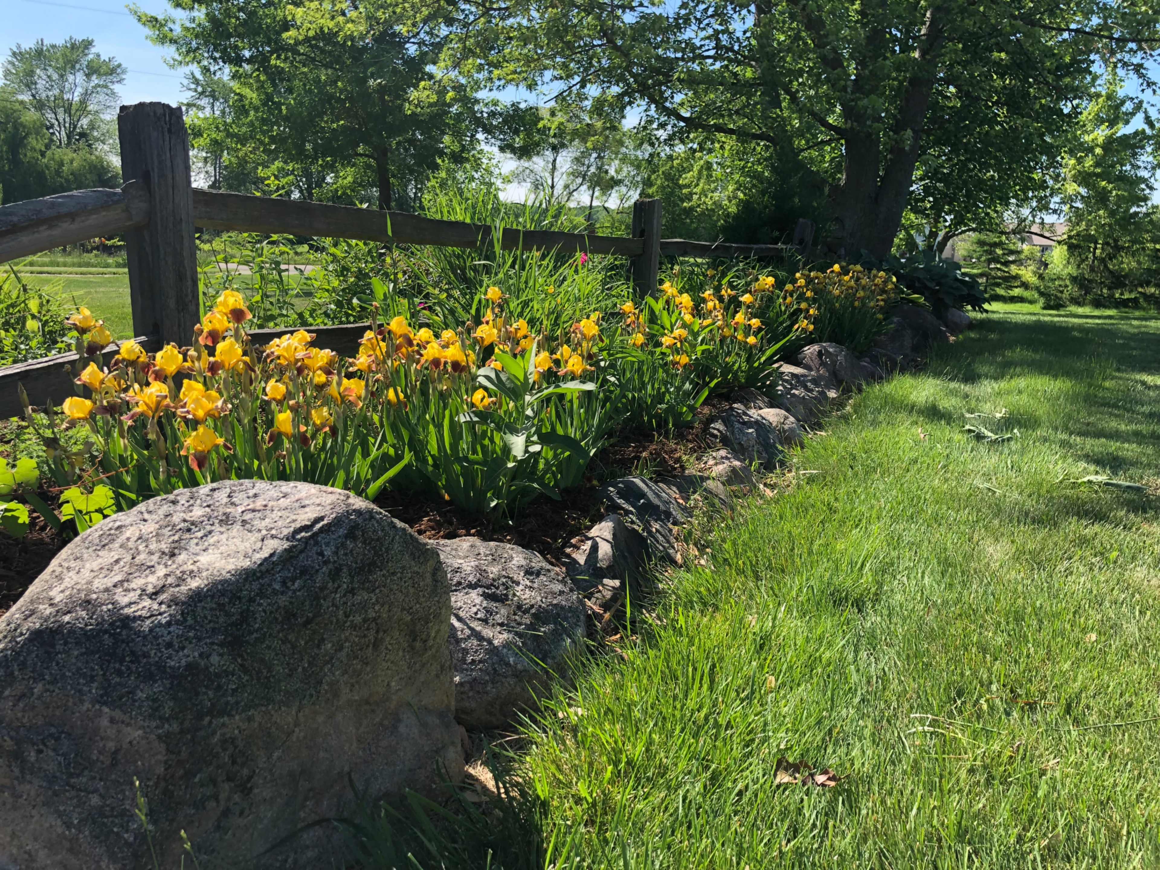 Photography Venue at The 4 Acre Farm Image in Georgetown Township, Hudsonville, MI