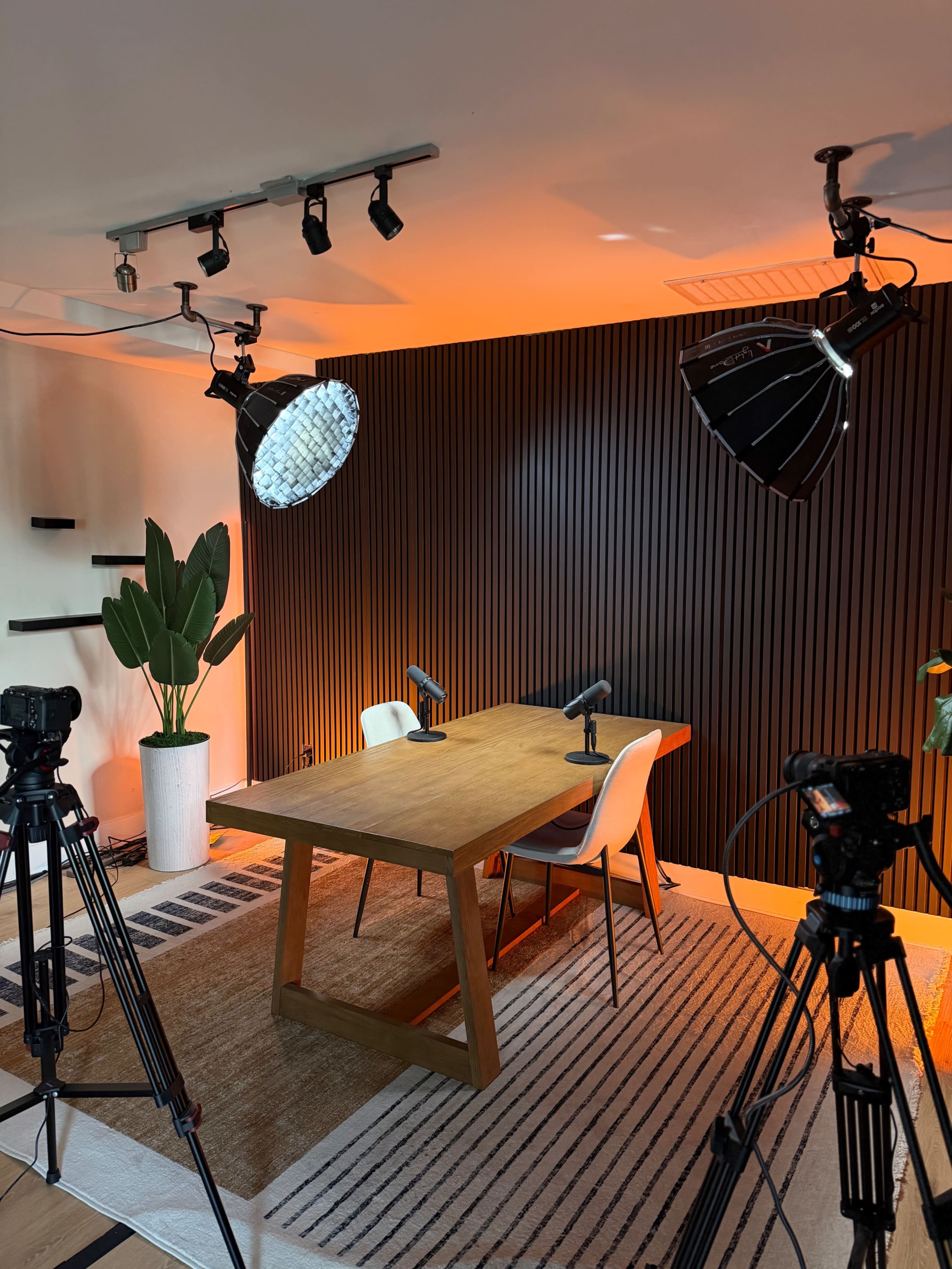 A modern studio setup features a wooden table with two chairs, illuminated by studio lights and surrounded by cameras and a large plant.