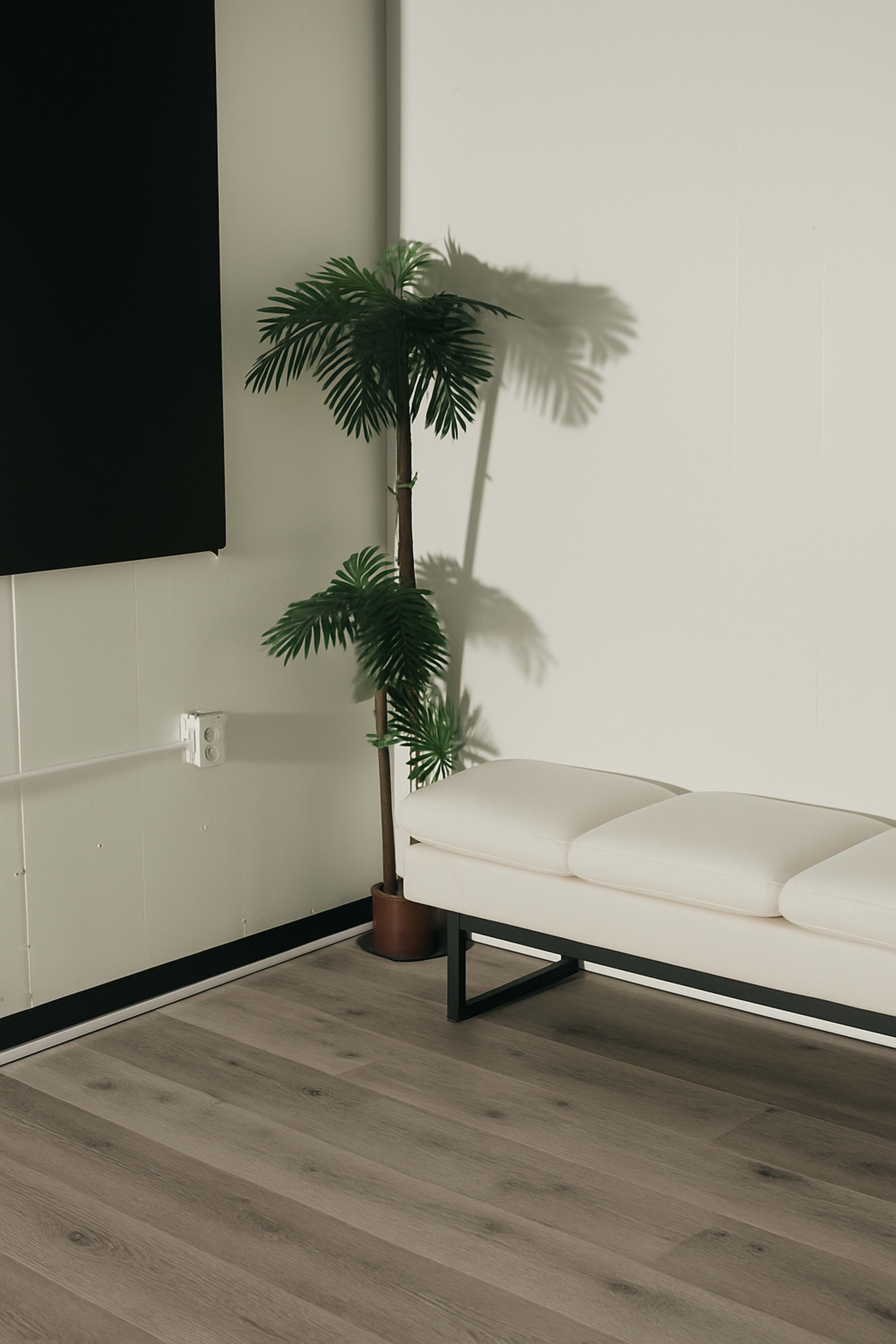The image shows a white bench against a light-colored wall, with a potted green plant nearby and wooden flooring.