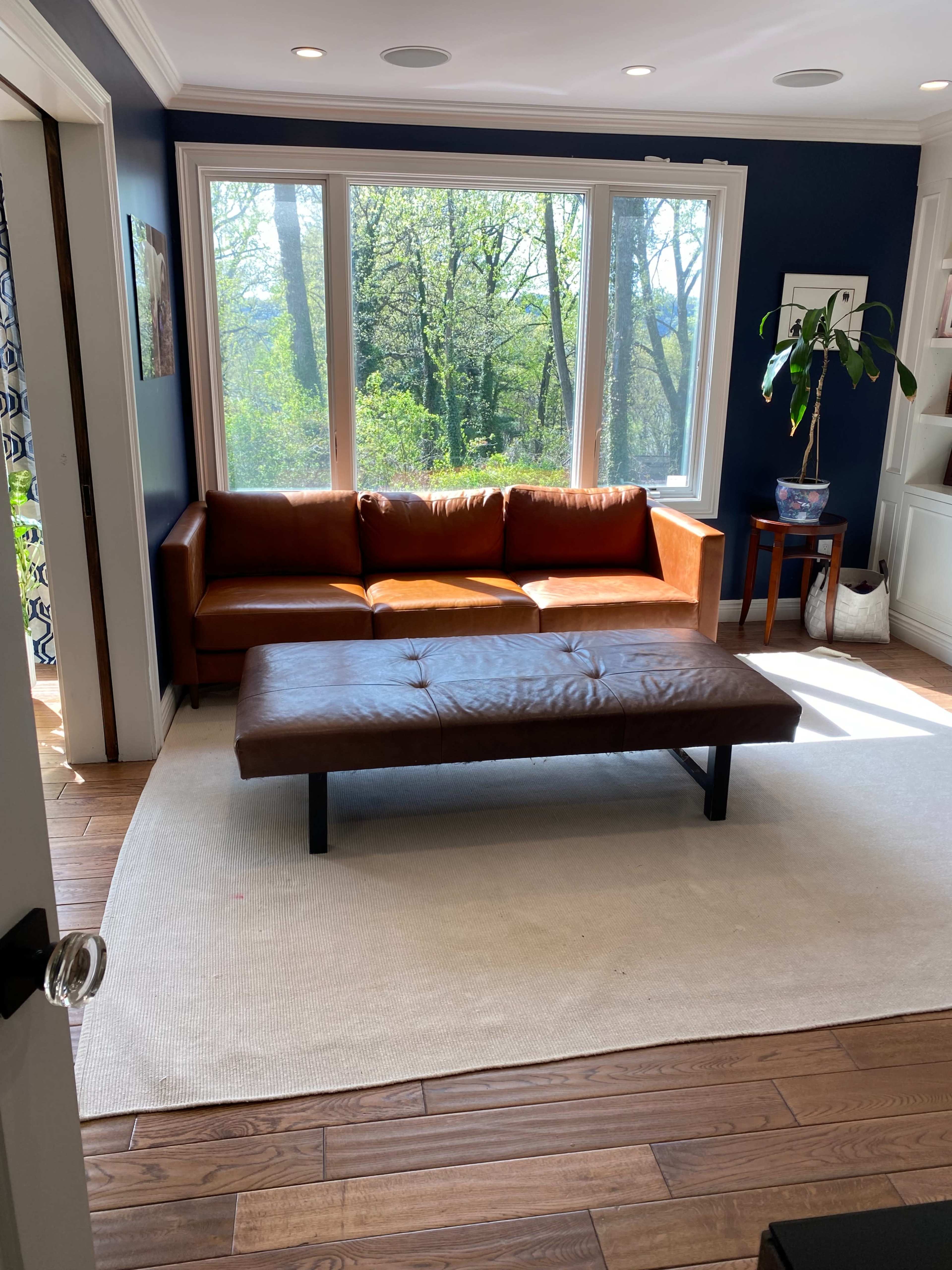 A brown leather sofa faces a coffee table on a light rug, with large windows revealing a green outdoor view.